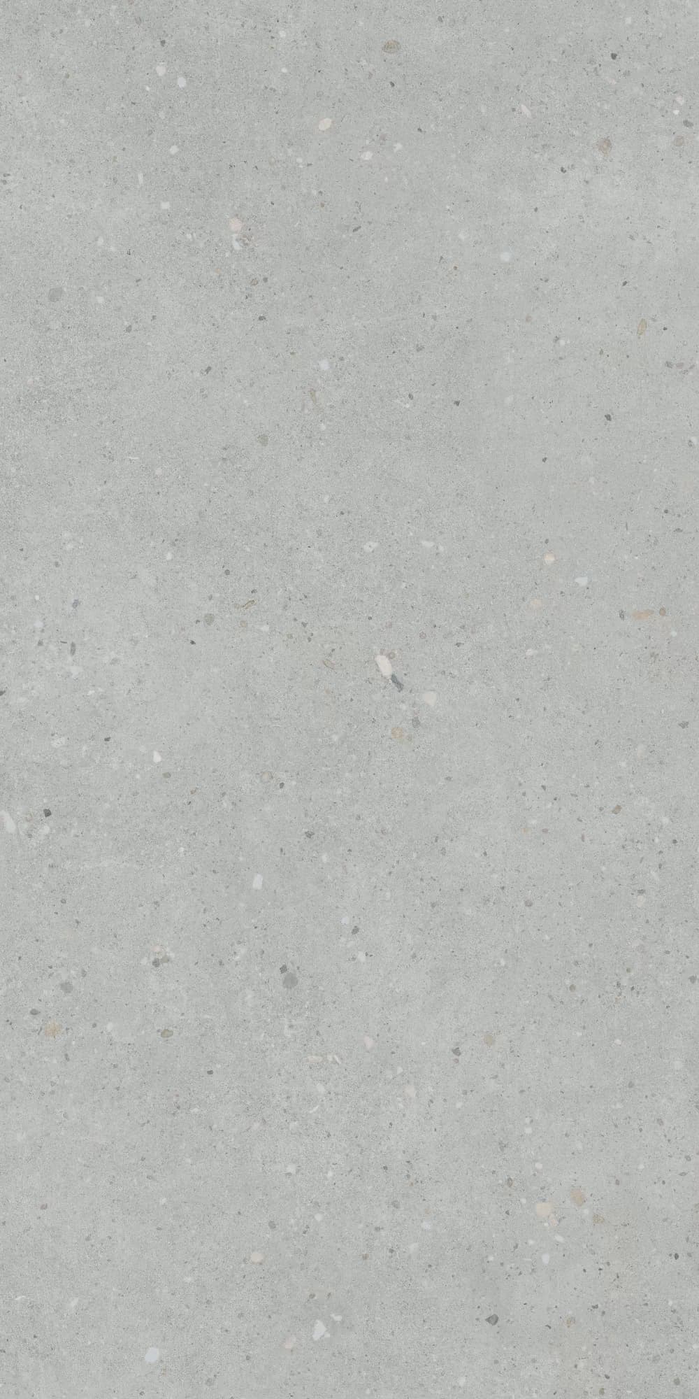 Керамогранит K947893R0001VTER Серый Матовый R10A Ректификат 60x120 — фото 3