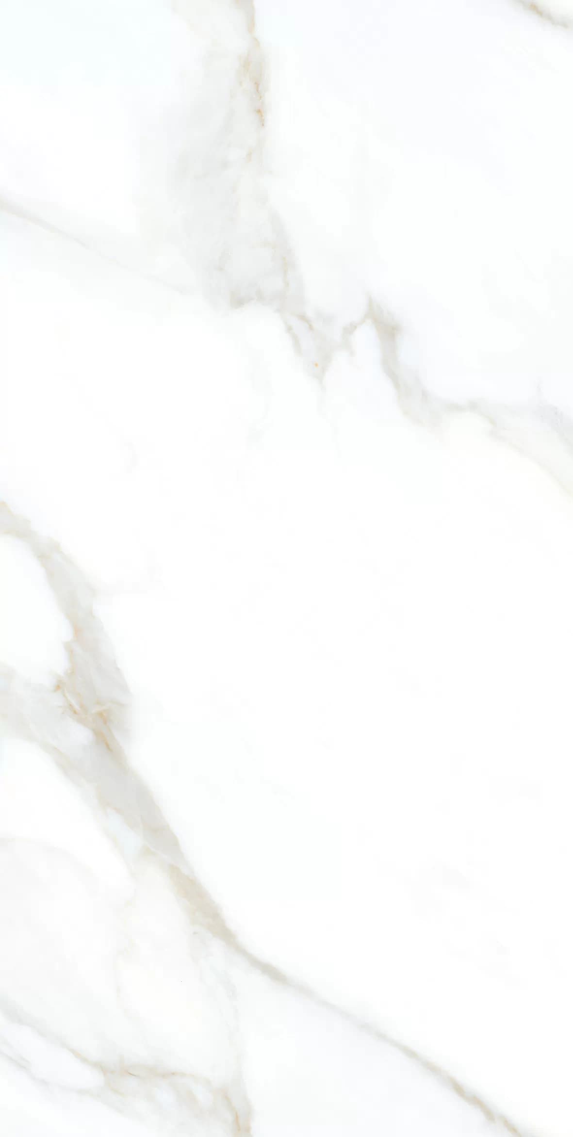 Керамогранит Clear White Grit Granula 60x120 — фото 4