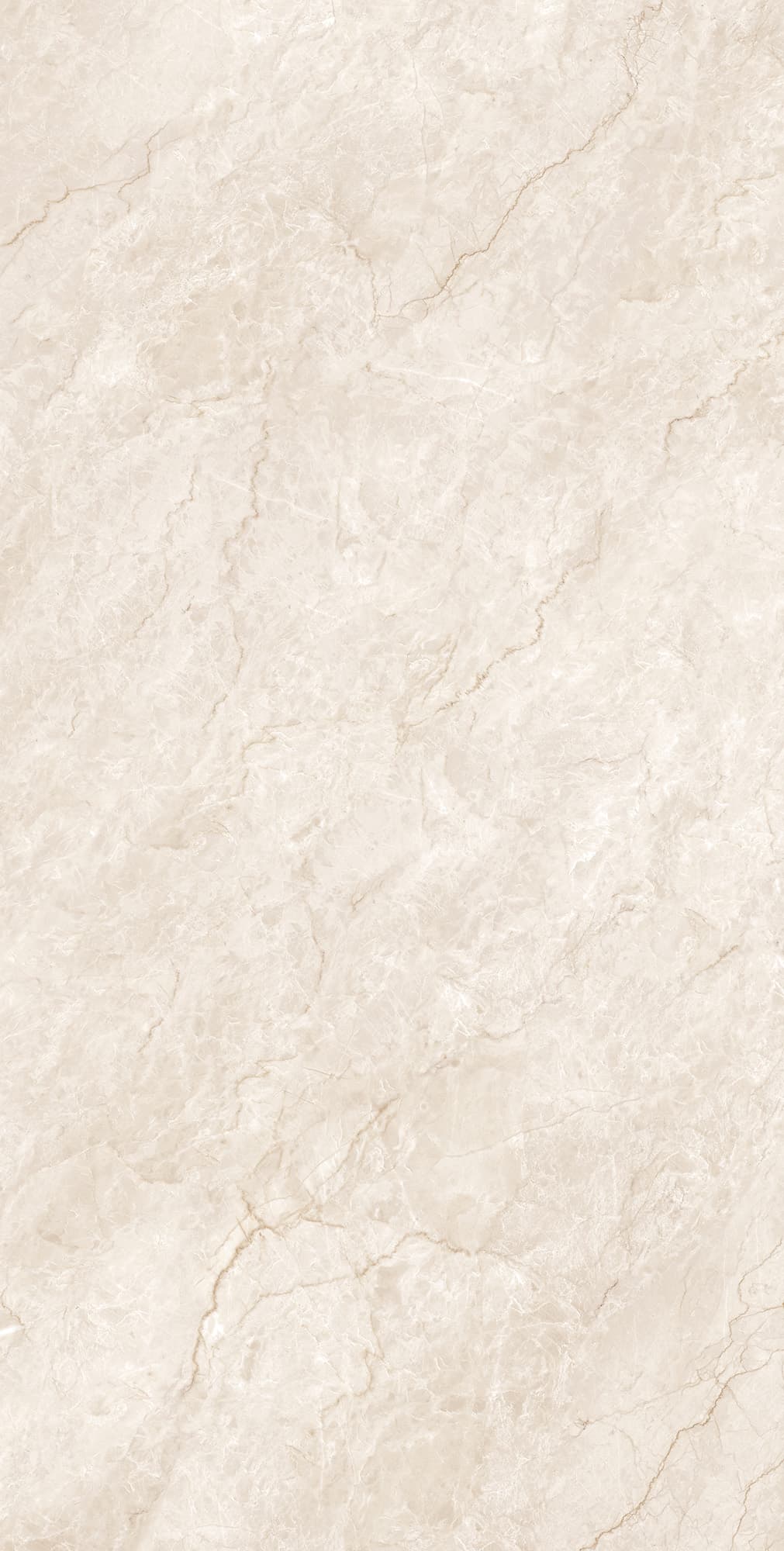 FERROL PEARL — фото 3