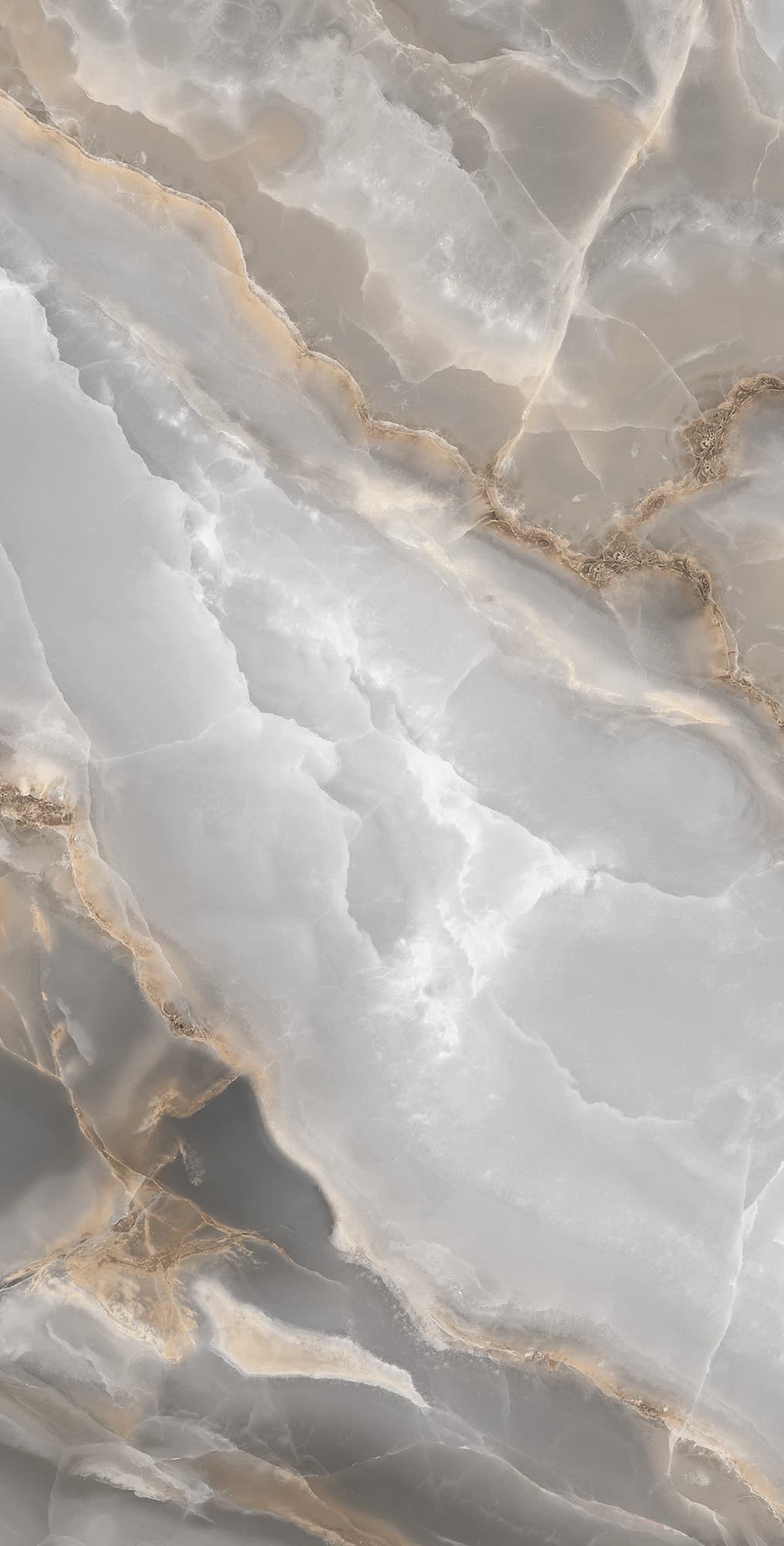 ONYX ROYAL — фото 5