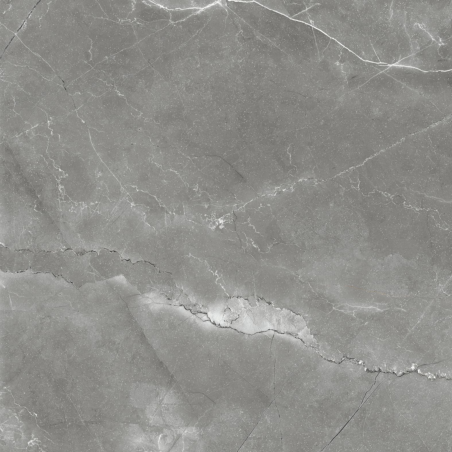 PULPIS NERO — фото 9