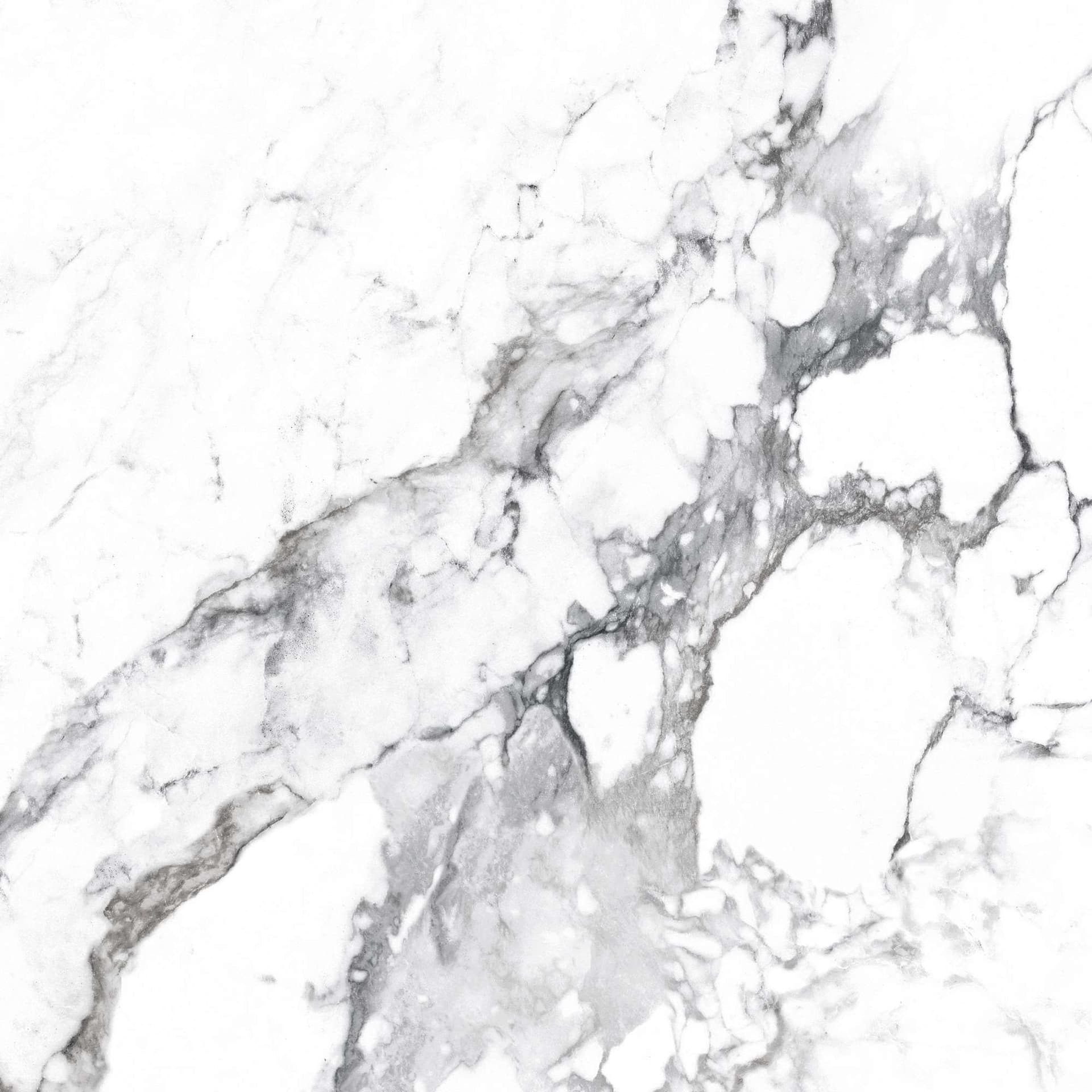 BORGHINI SILVER — фото 6