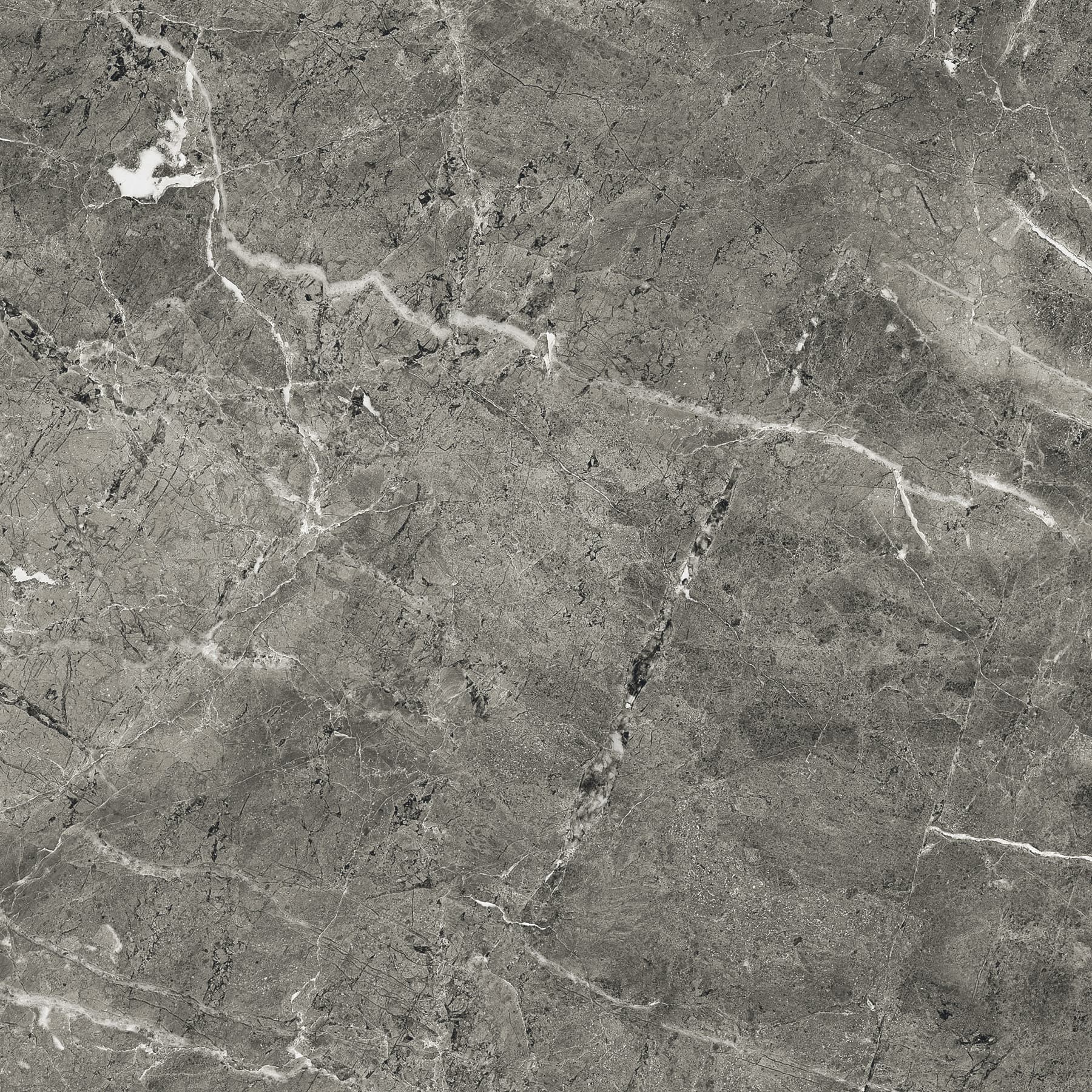 FLORENCIA GREY — фото 14