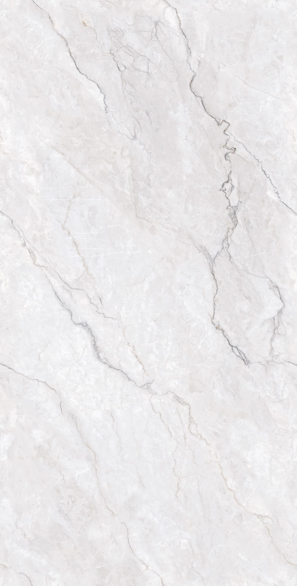 LUMIERE WHITE — фото 6