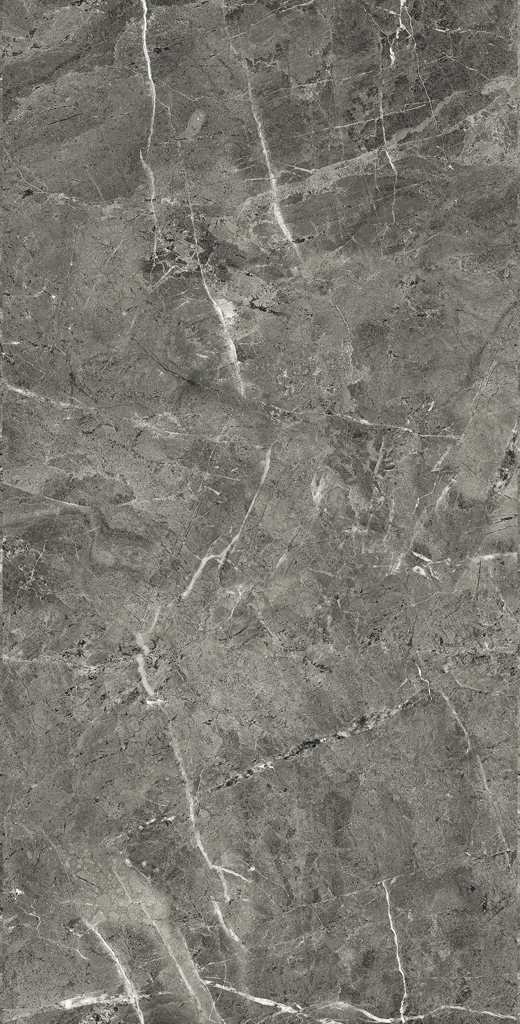 FLORENCIA GREY — фото 9