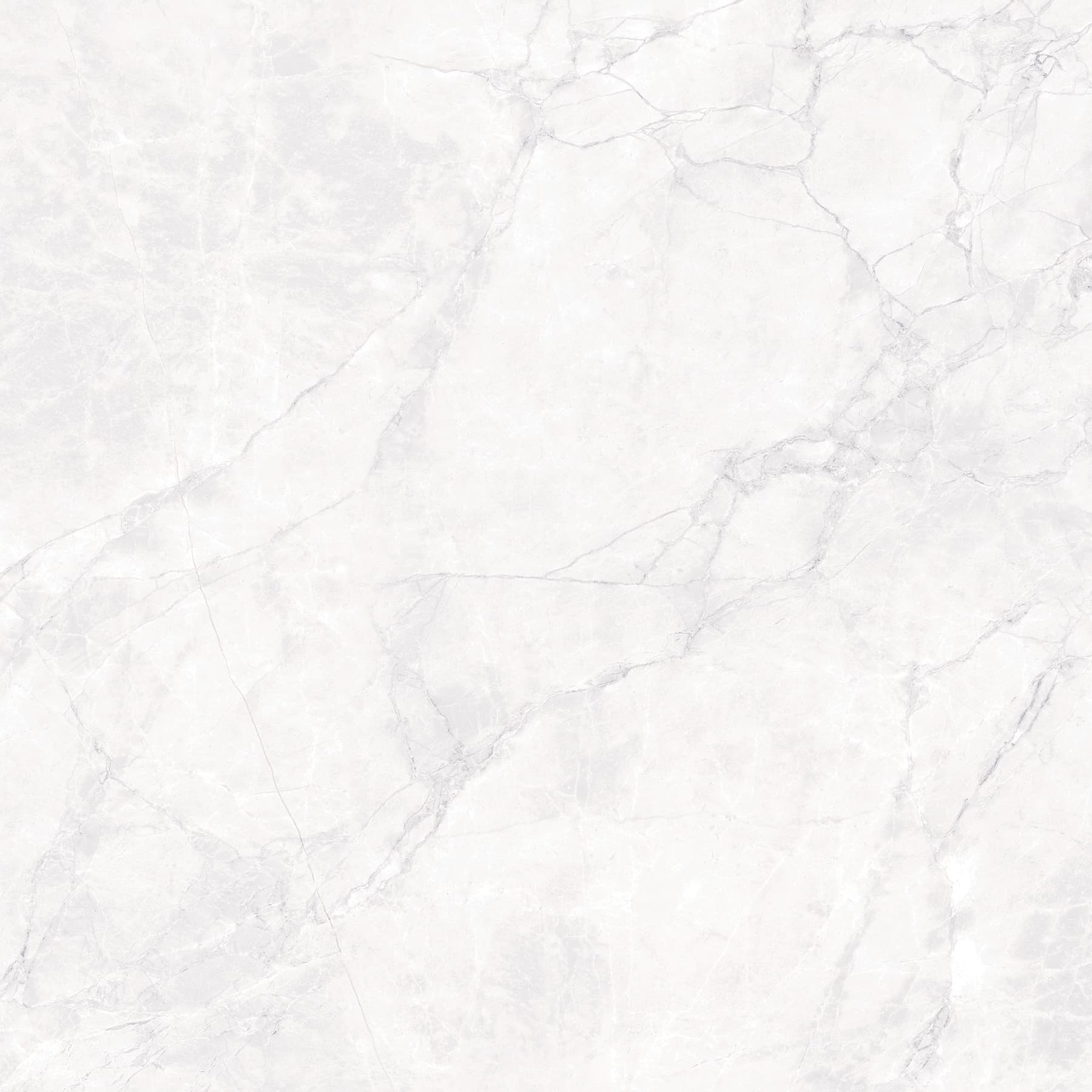 ARCTIC WHITE — фото 4