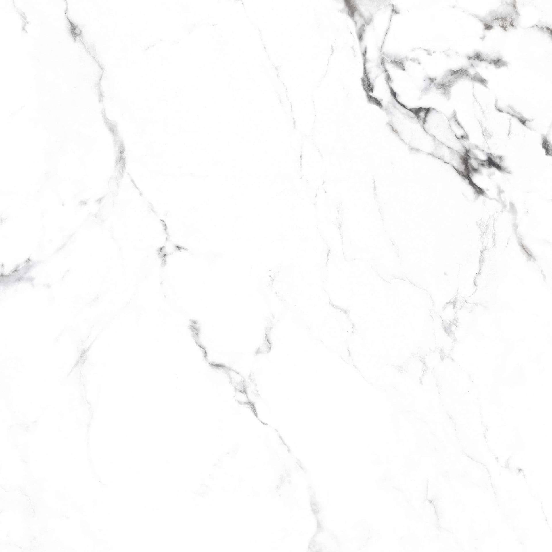 BORGHINI SILVER — фото 20