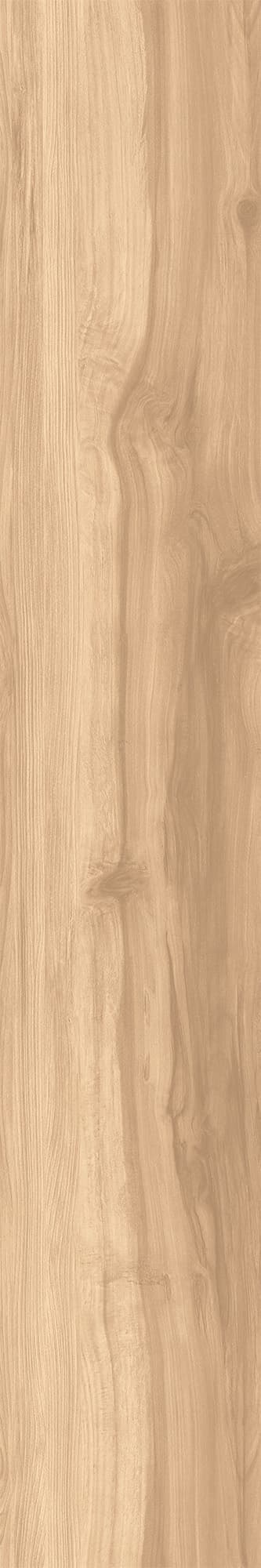 FOSSIL WOOD BRICH — фото 4