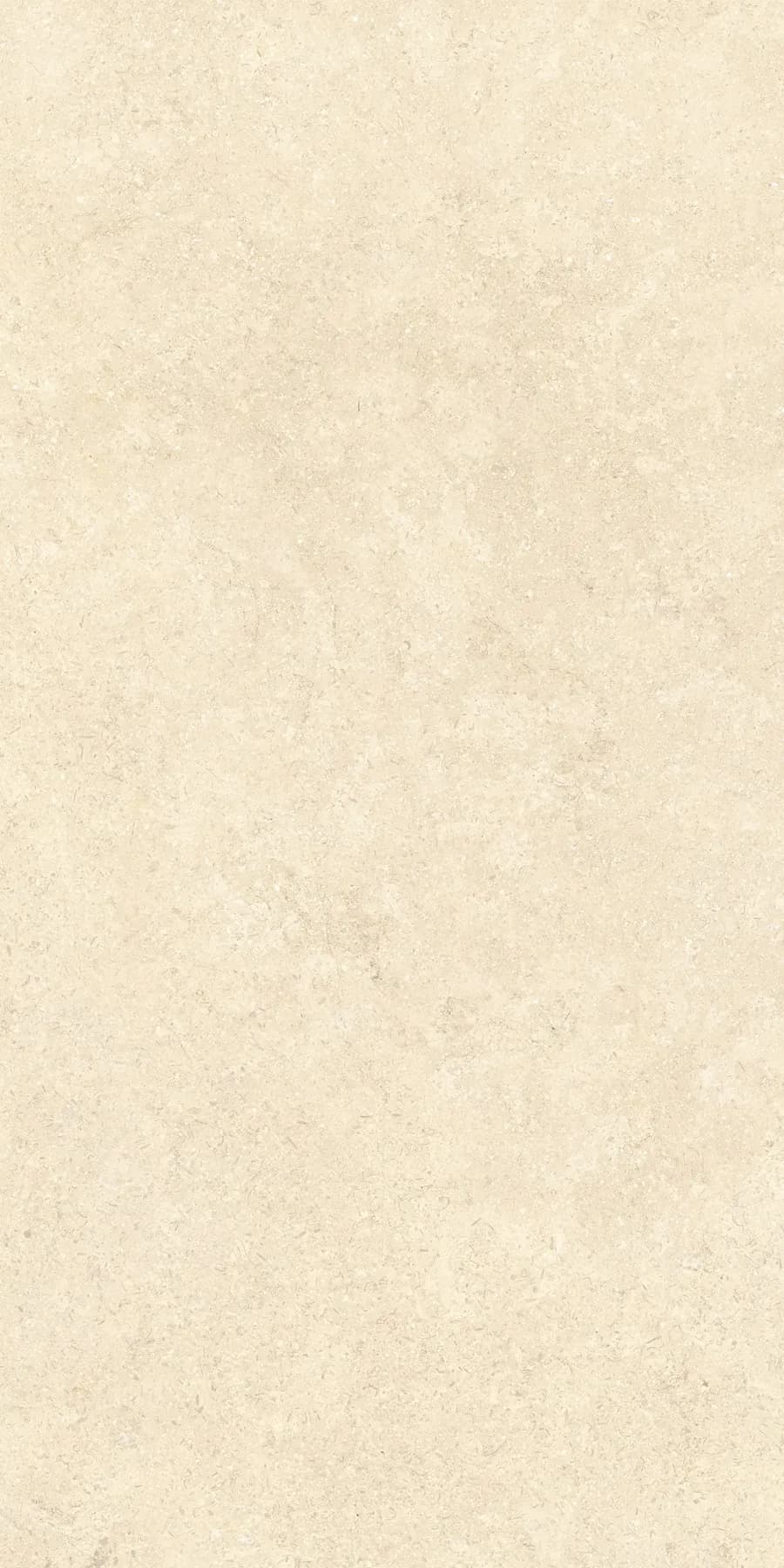 Керамогранит K948598R0001VTER SandStone Песочный Матовый R10A Ректификат 60х120 — фото 3