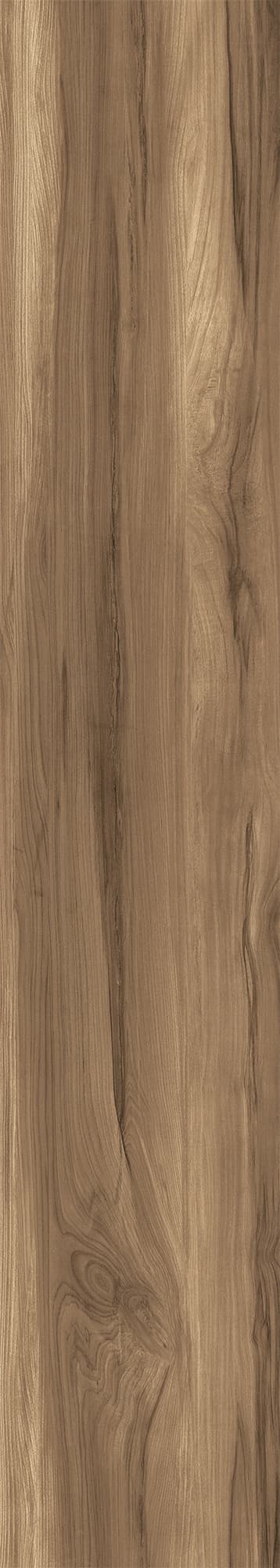 FOSSIL WOOD WENGE — фото 6