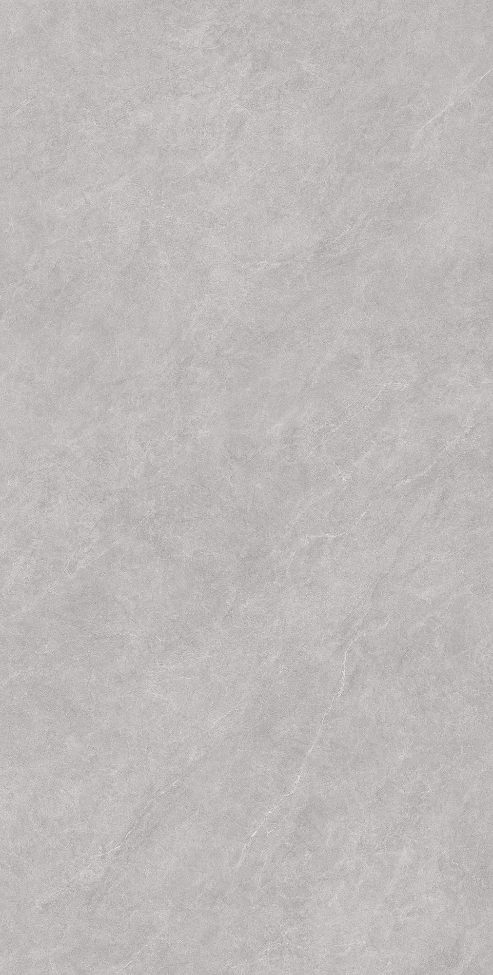 LISTELLO BIANCO — фото 8