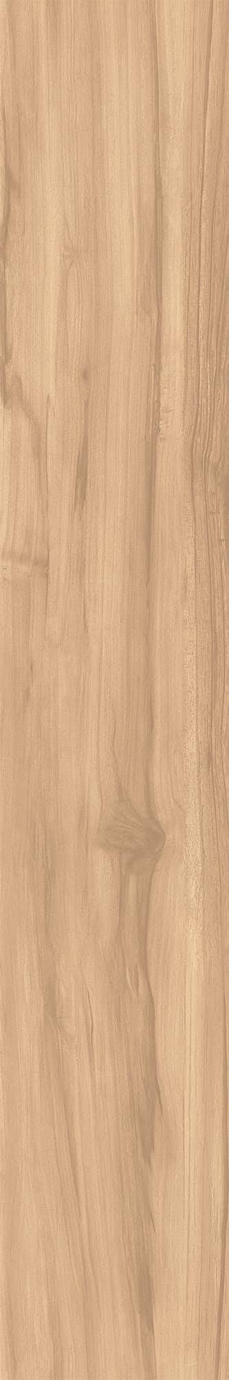 FOSSIL WOOD BRICH — фото 10