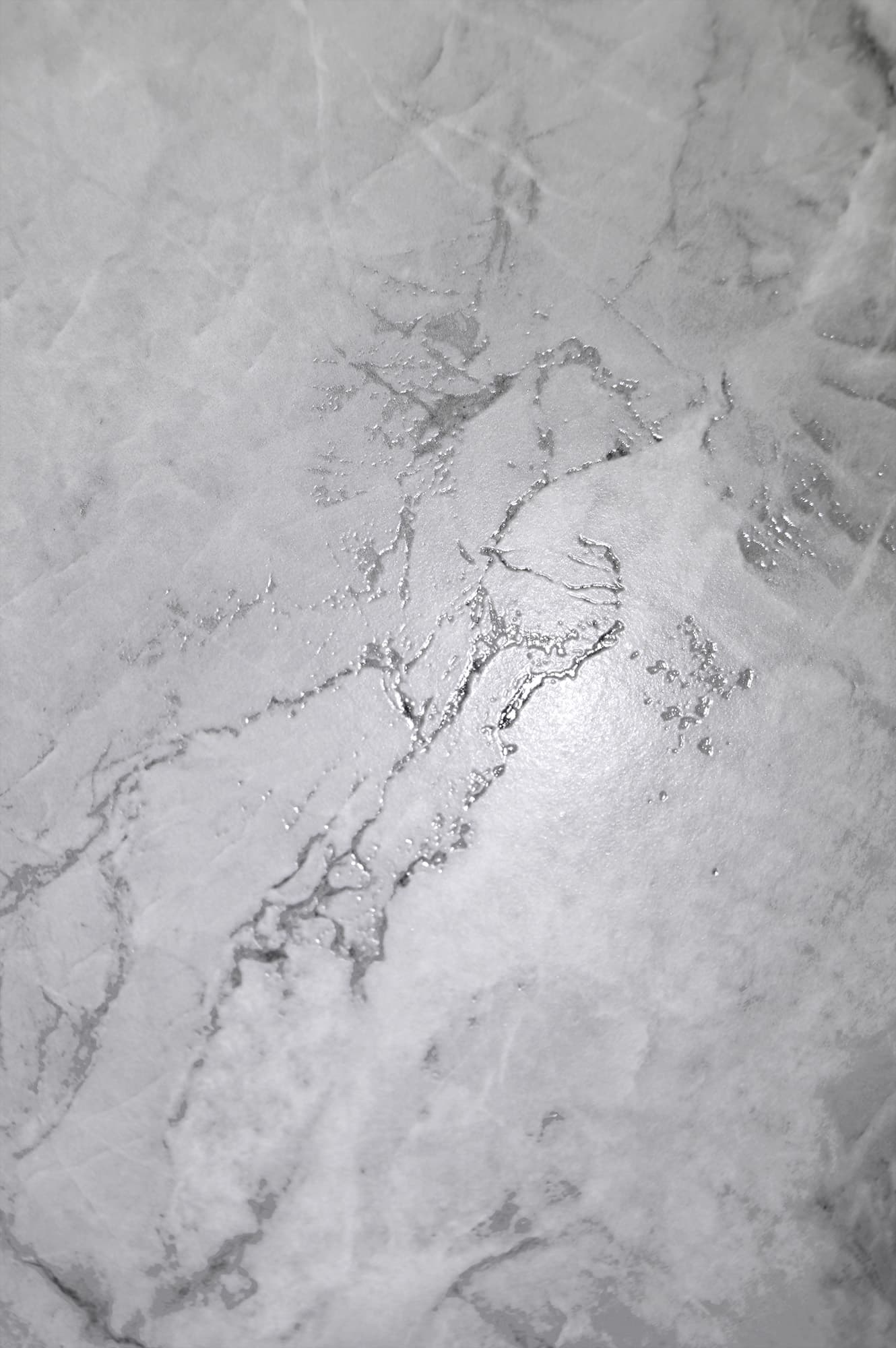 BOLIVIA DOVE — фото 10