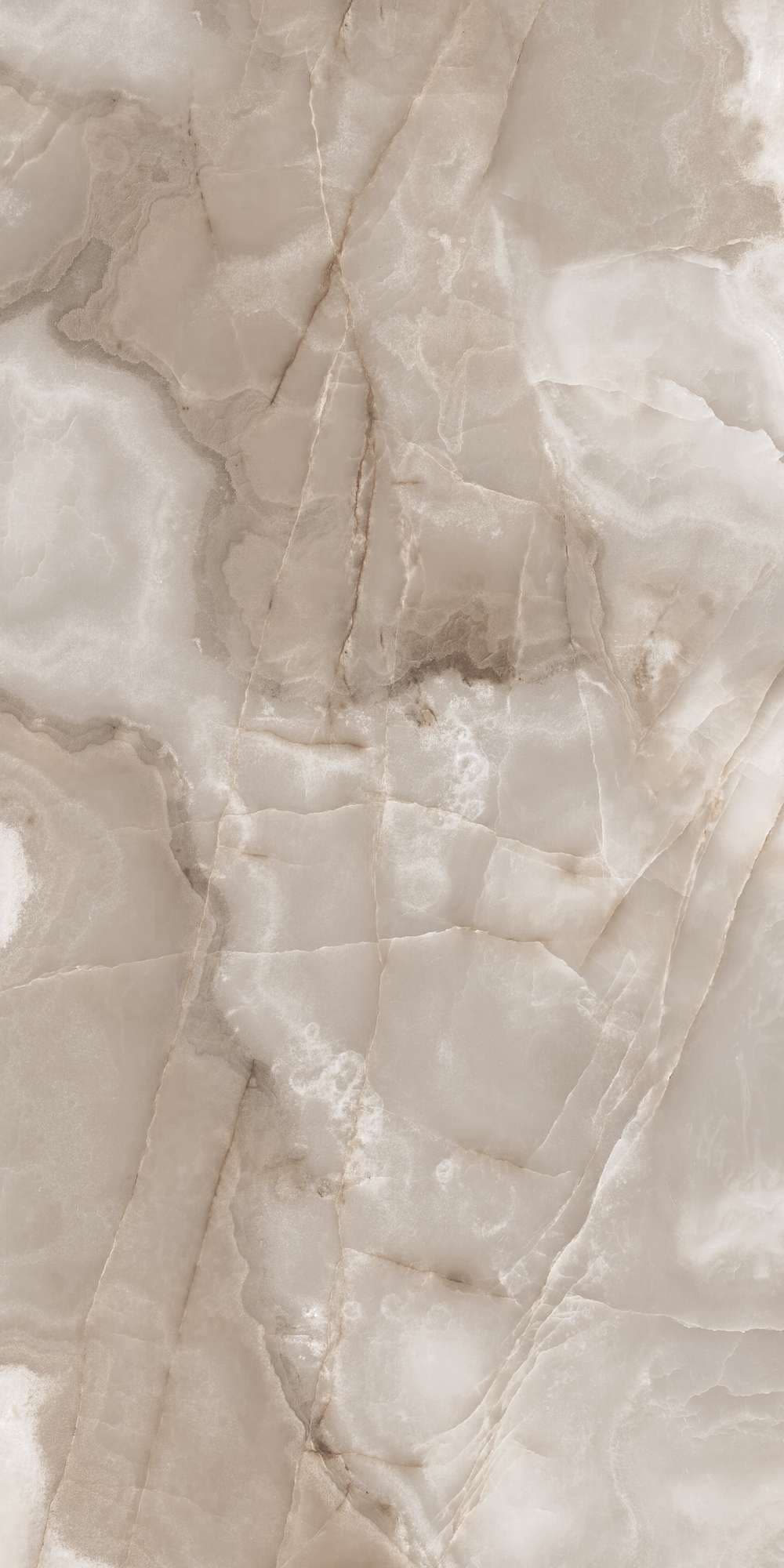 REX ONYX COFFE — фото 7