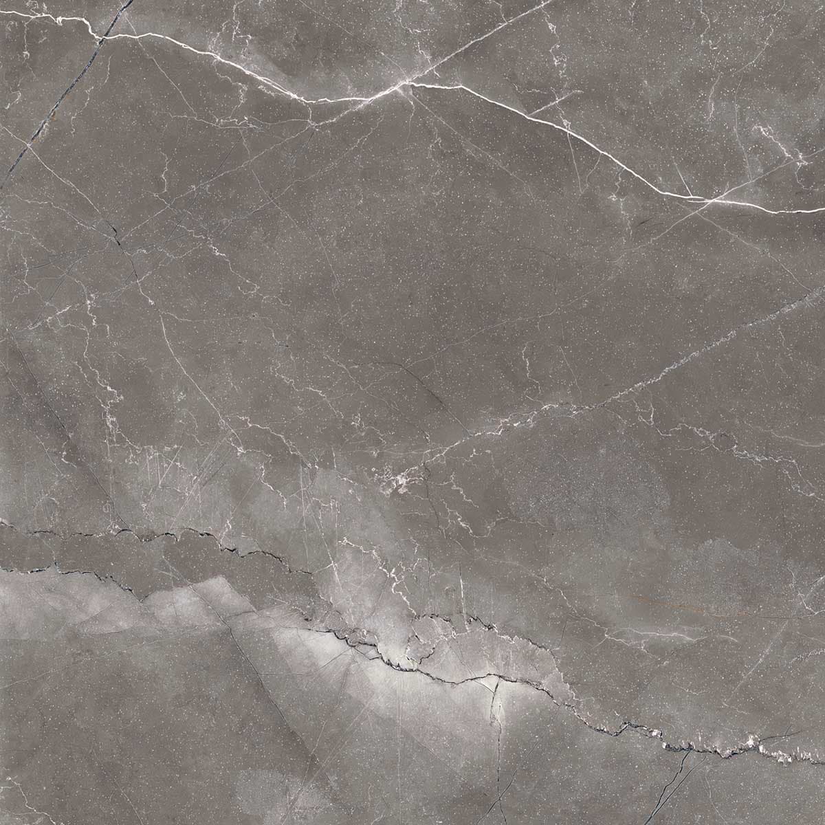 PULPIS NERO — фото 8