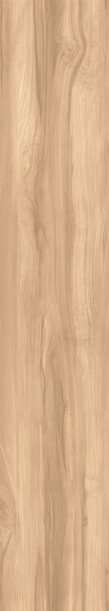 FOSSIL WOOD BRICH — фото 5