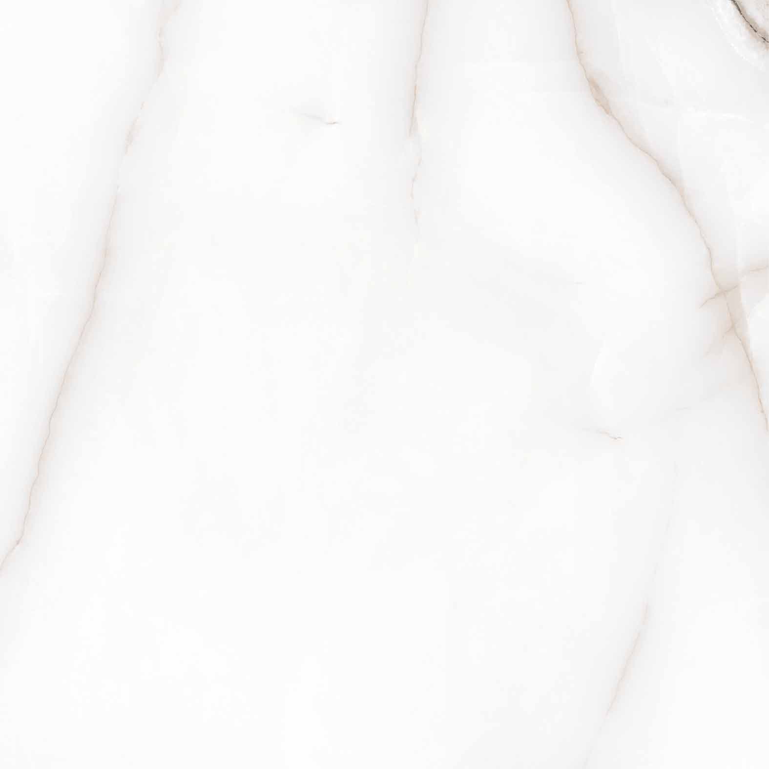 FEATHER ONYX — фото 5