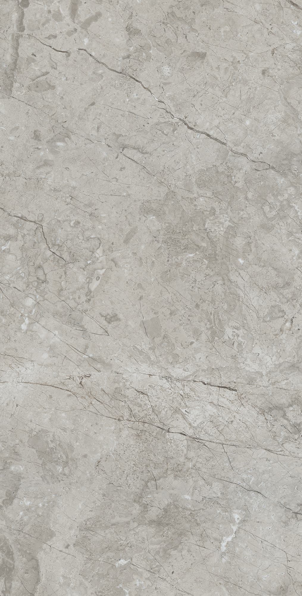 MARCUS GRACIA — фото 3