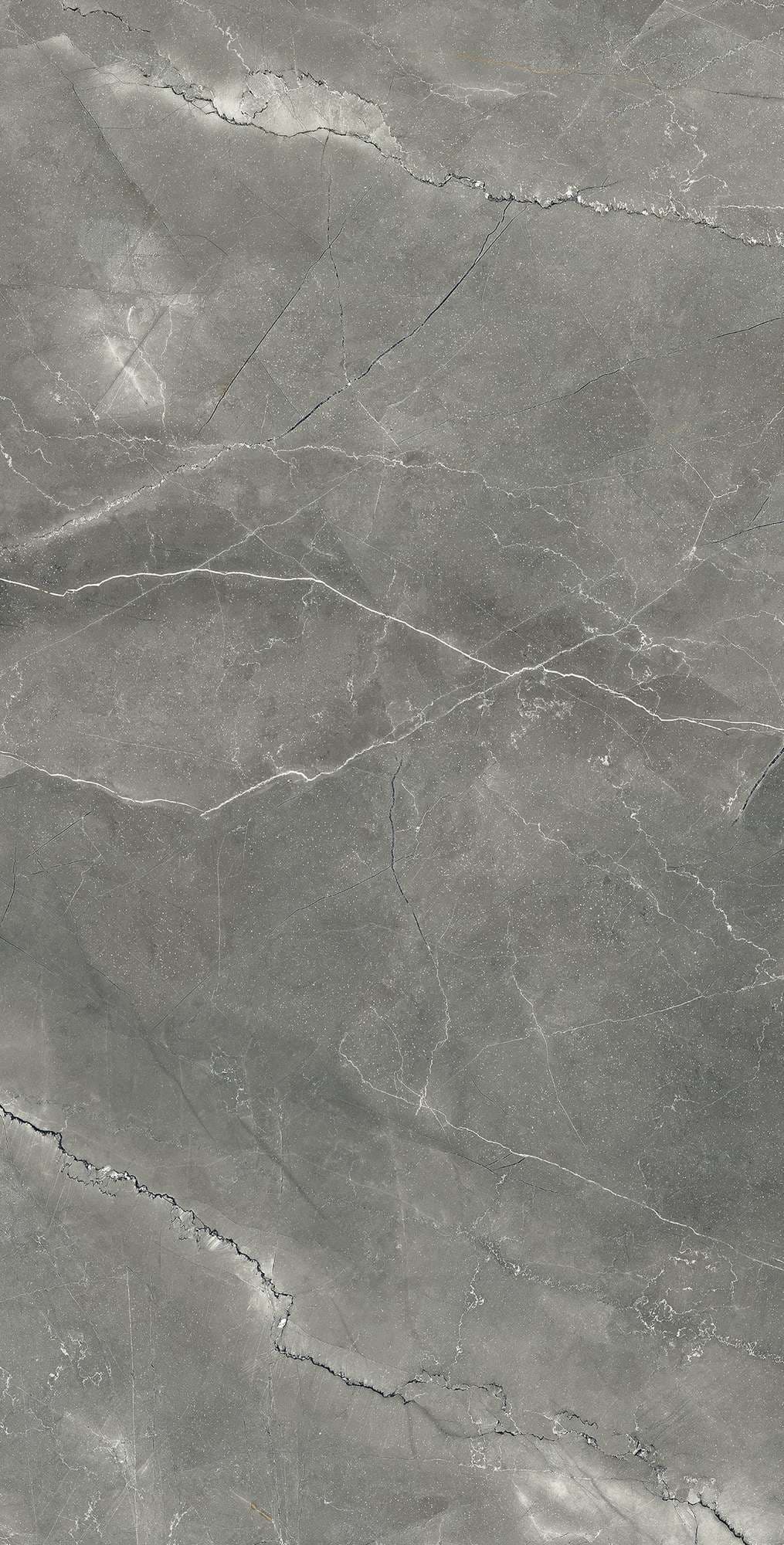 PULPIS NERO CARVING — фото 8