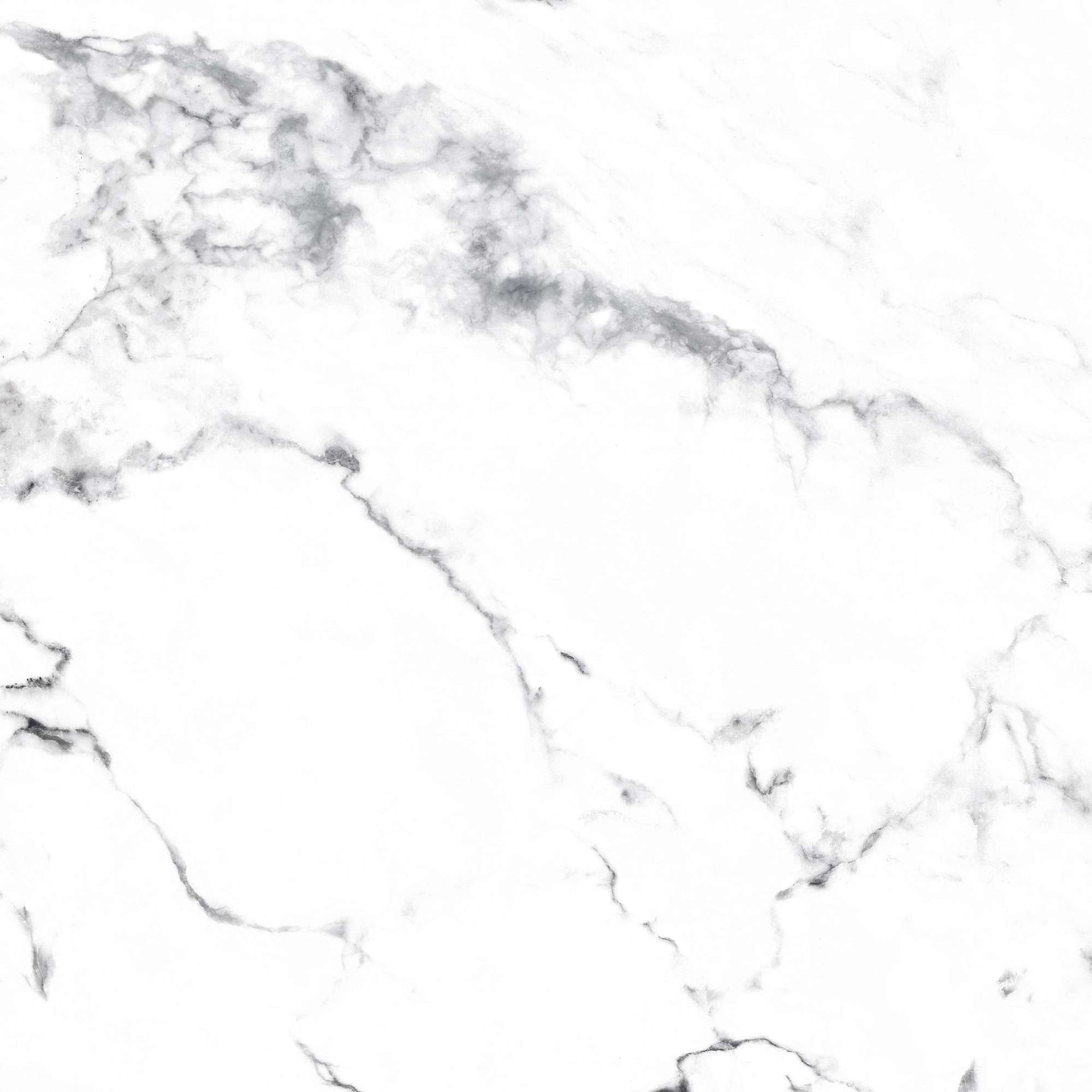 BORGHINI SILVER — фото 16