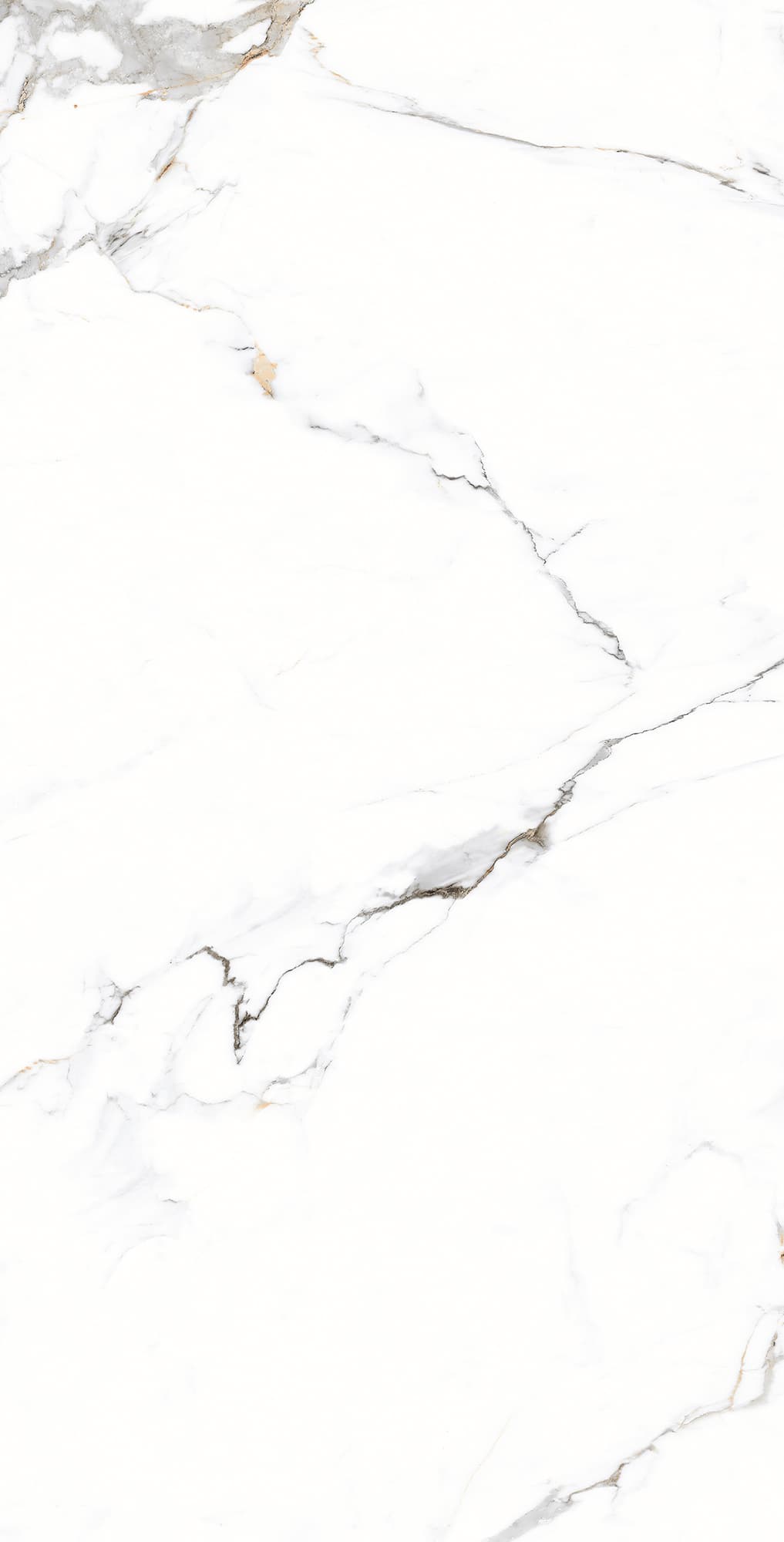 GALAXY STATUARIO — фото 6