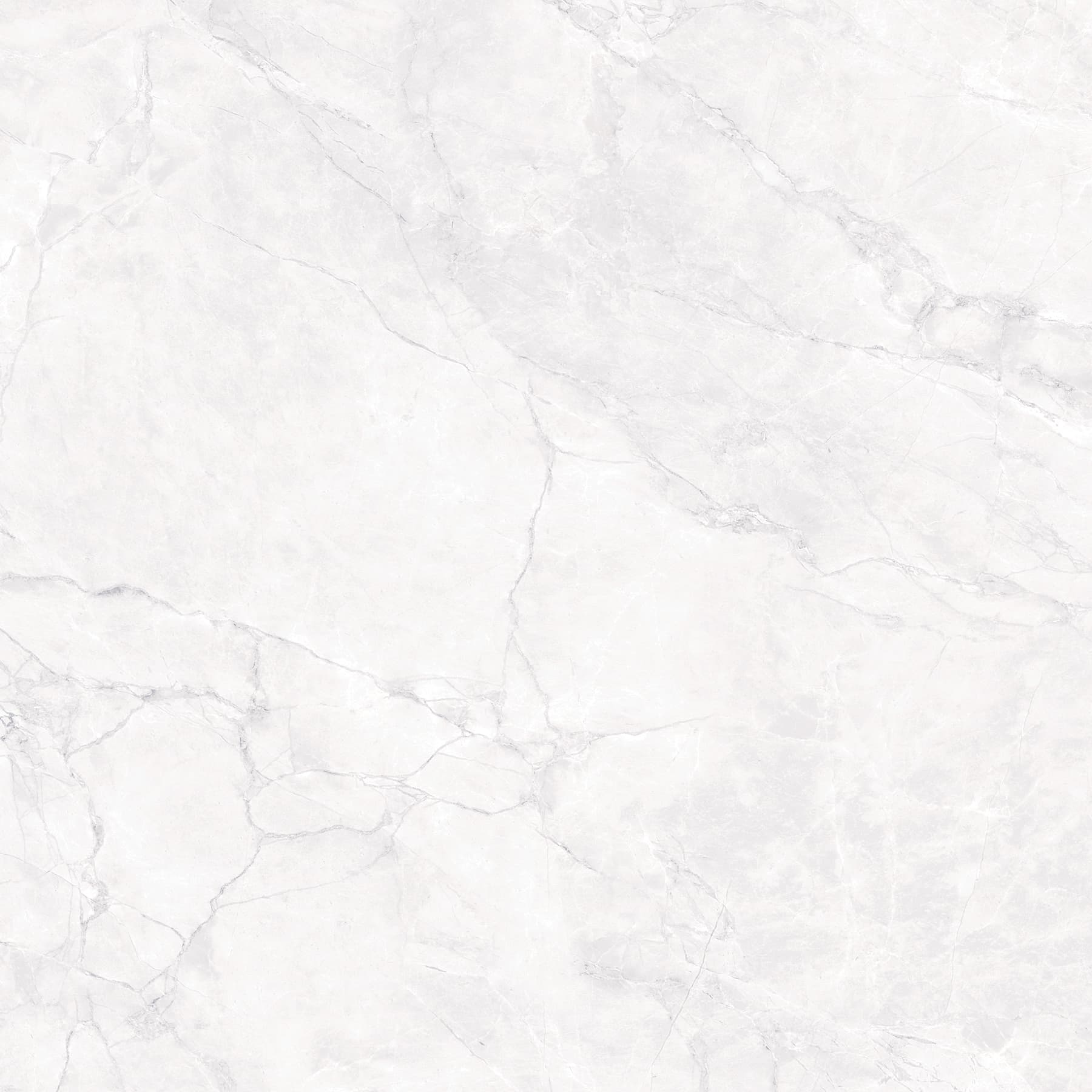 ARCTIC WHITE — фото 13