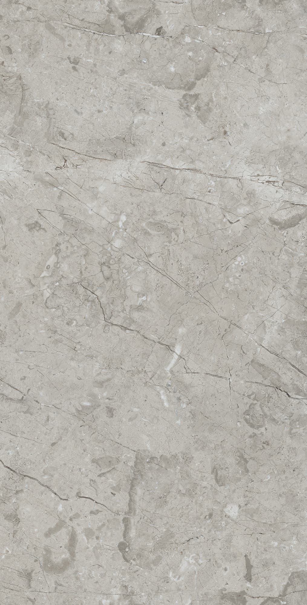 MARCUS GRACIA — фото 6