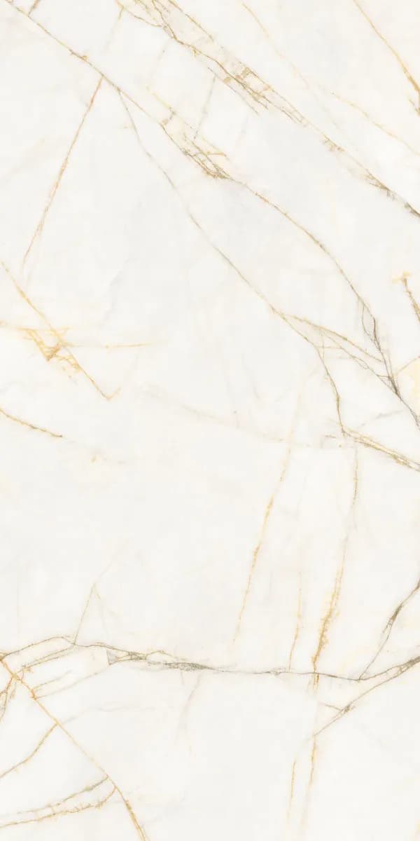 Керамогранит PF60017518 Supreme Hedonism Golden Spider Nat R 60x120 — фото 4