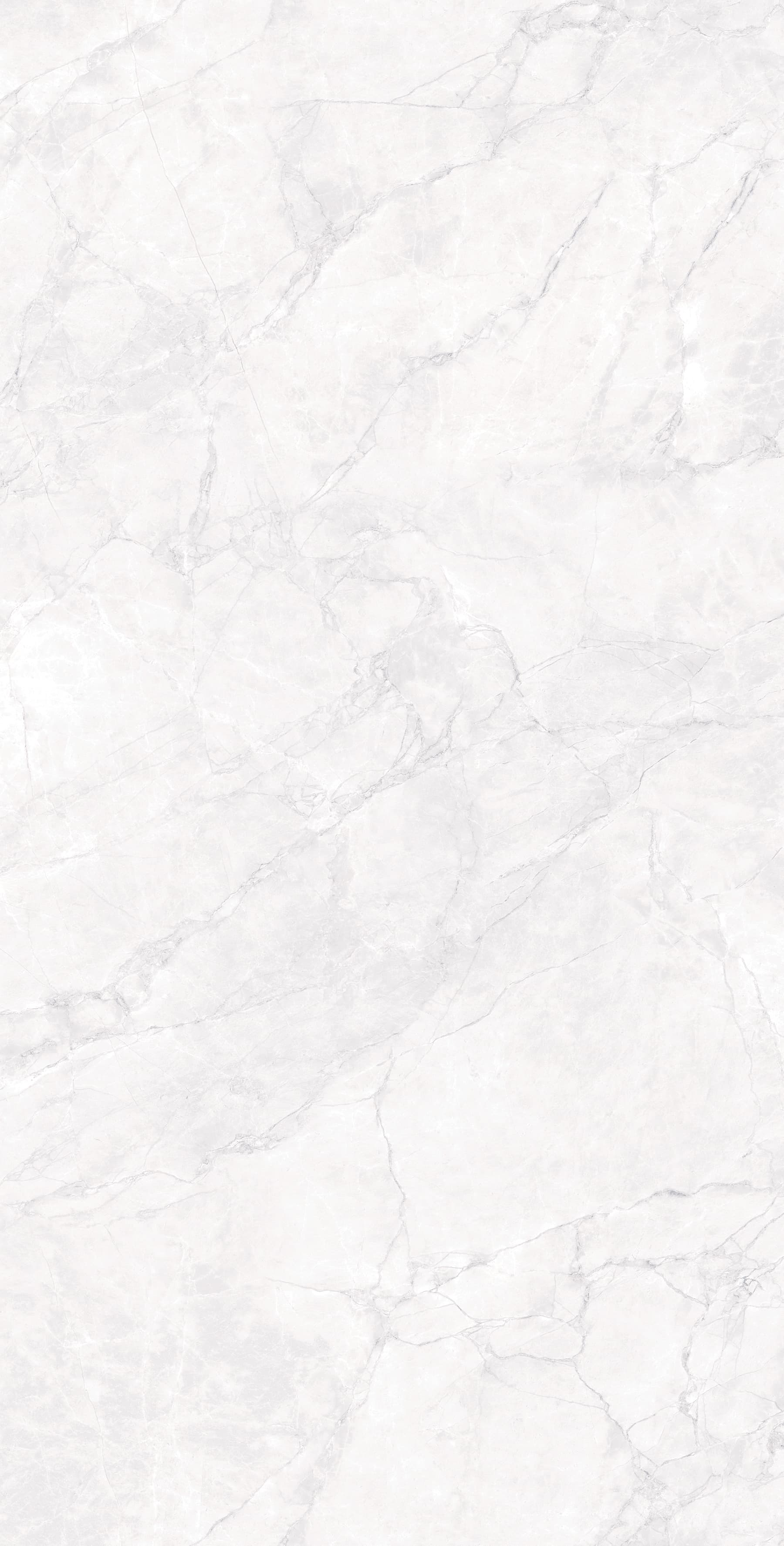 ARCTIC WHITE CARVING — фото 9