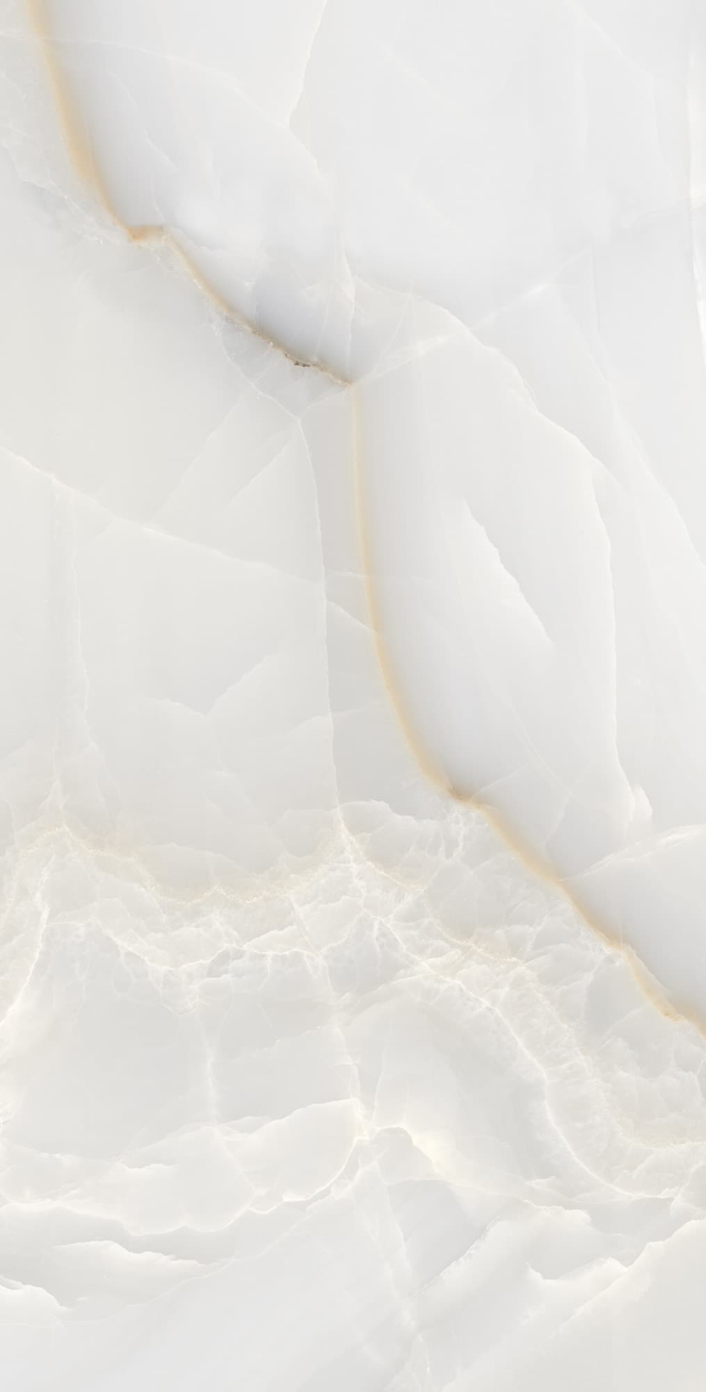 ONYX MAX — фото 4