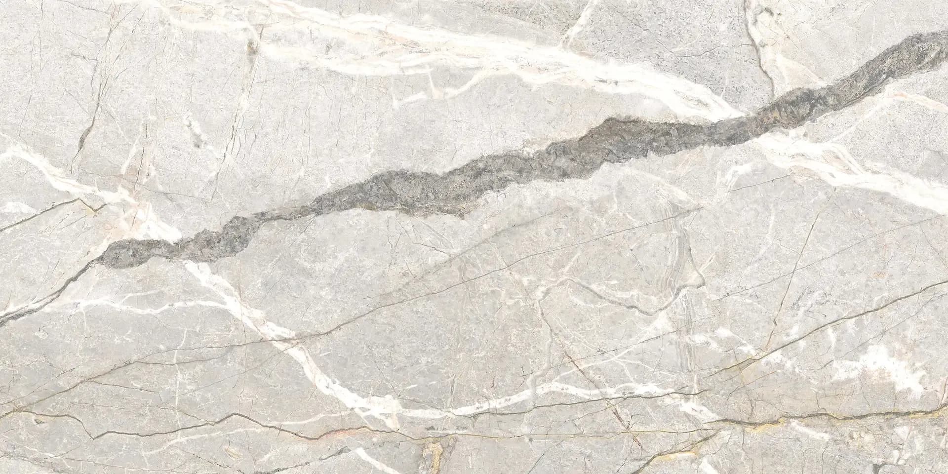 Керамогранит PF60017241 Supreme Hedonism Silver Roots Lux 3D R 60x120 — фото 3