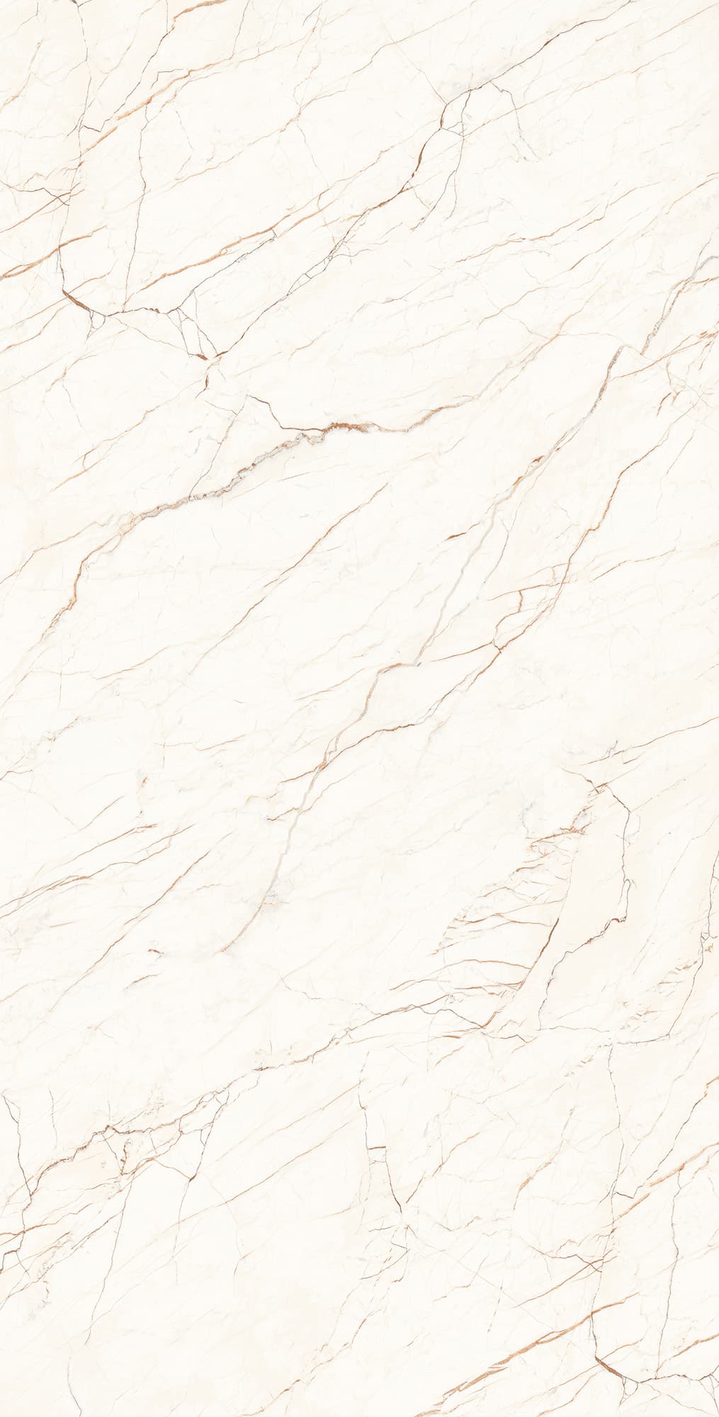 CEASAR LAPPATO — фото 7