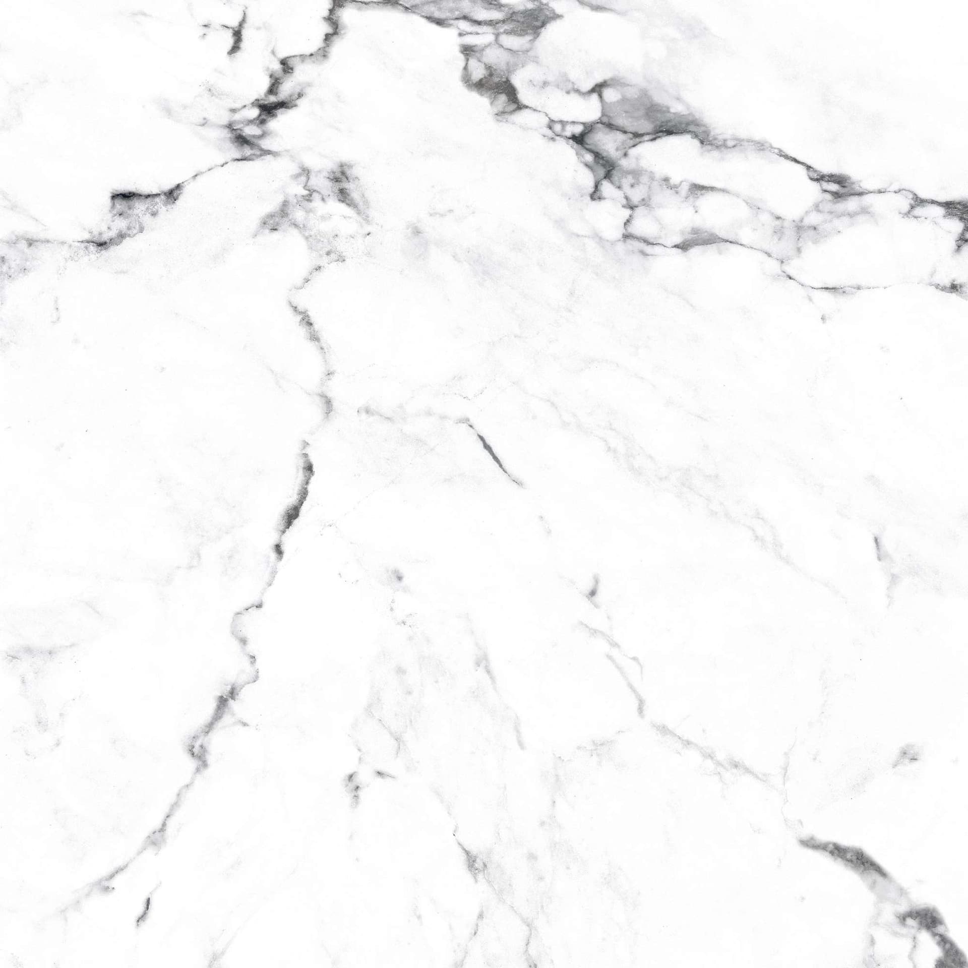 BORGHINI SILVER — фото 19