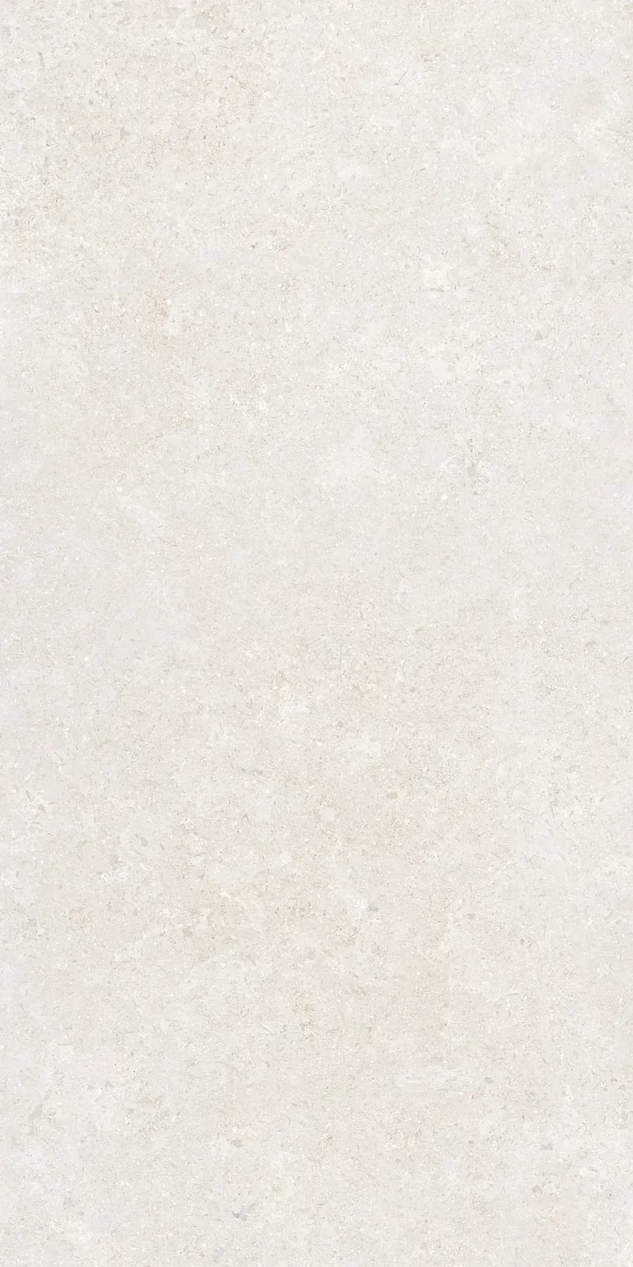 Керамогранит K948597R0001VTER SandStone Белый Матовый R10A Ректификат 60х120 — фото 4