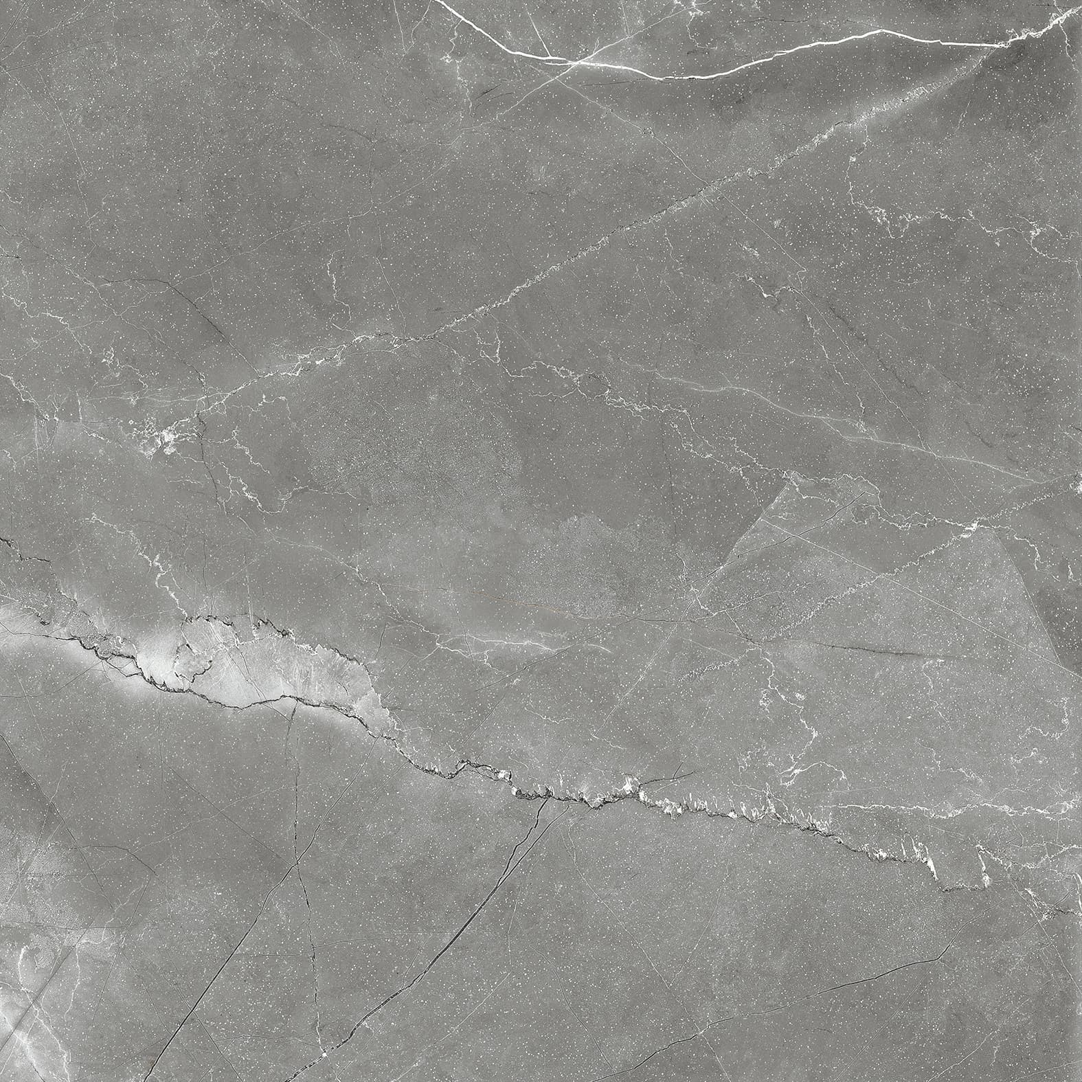 PULPIS NERO — фото 4