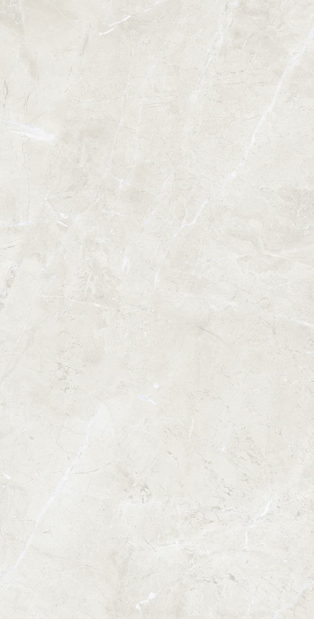 FLORENCIA BIANCO — фото 5