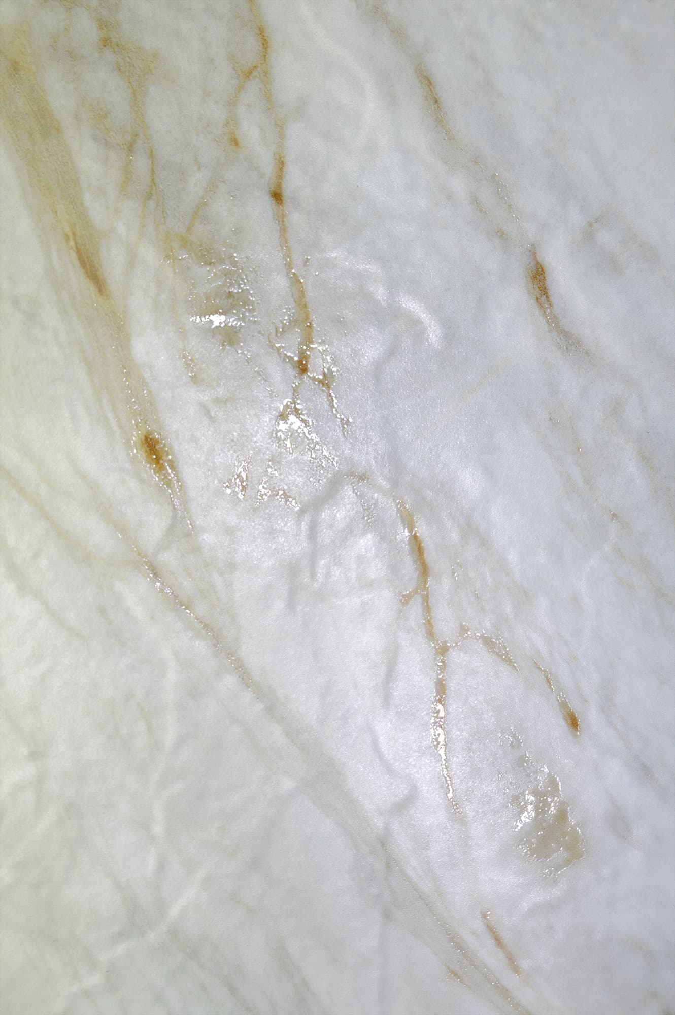 LAZIO PEAR — фото 10