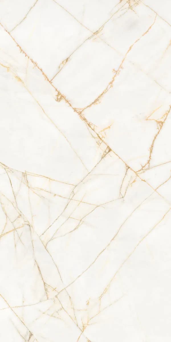 Керамогранит PF60017518 Supreme Hedonism Golden Spider Nat R 60x120 — фото 10