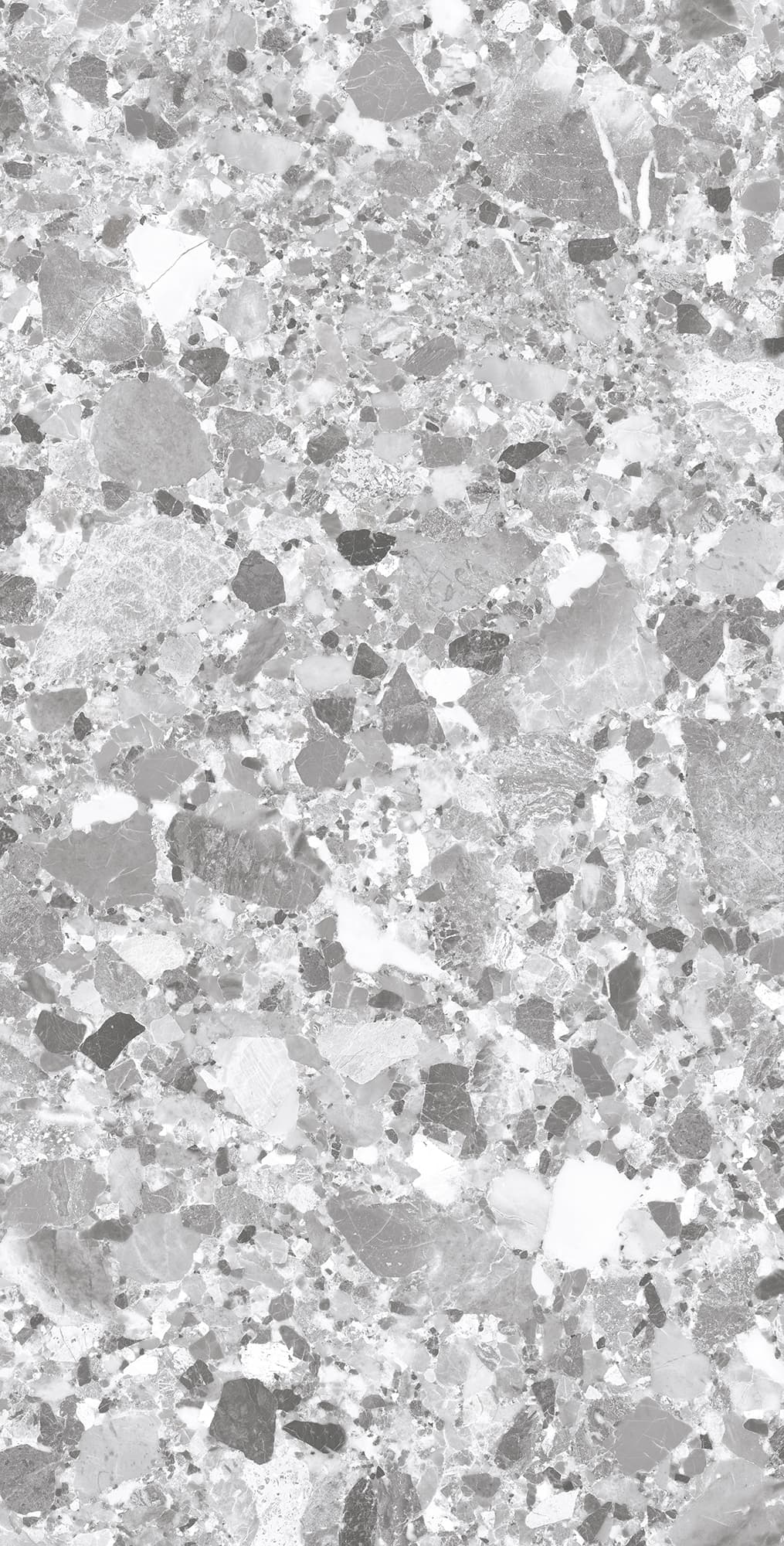 TERRAGONA SILVER SOLIDO — фото 6