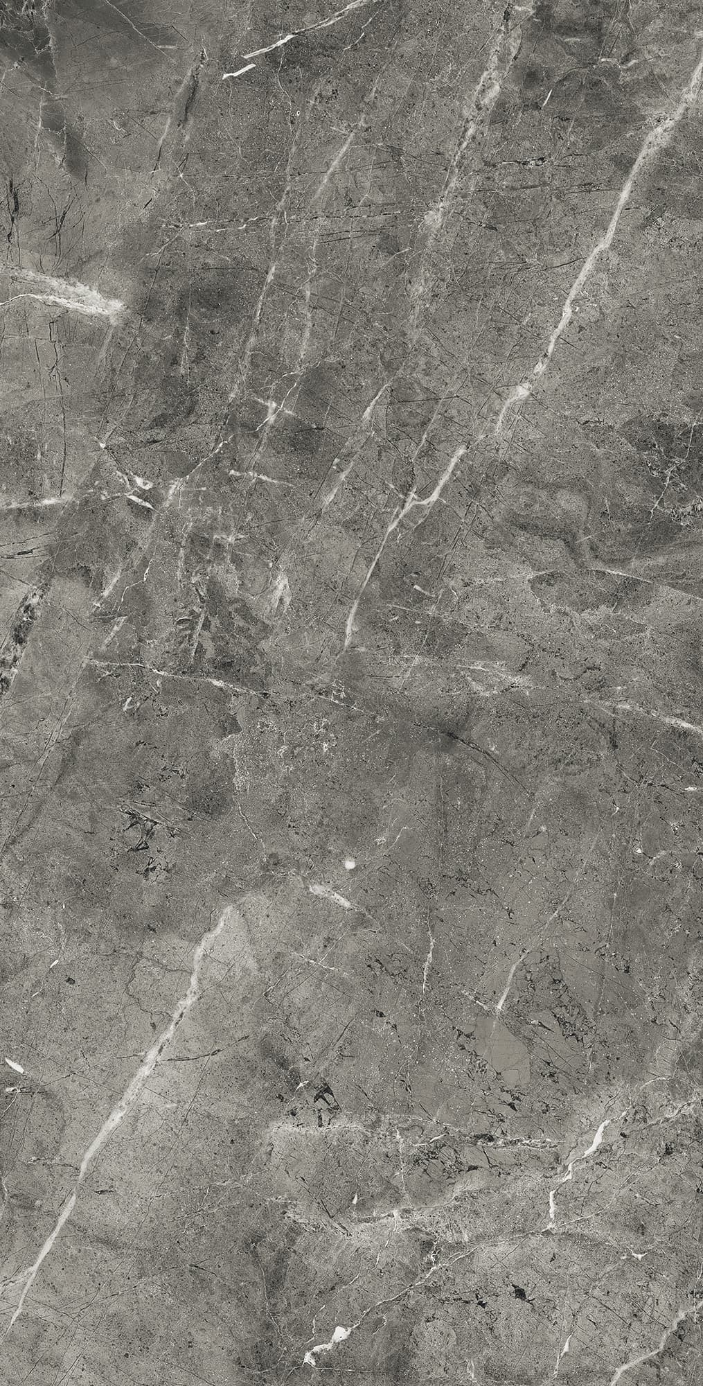 FLORENCIA GREY — фото 5