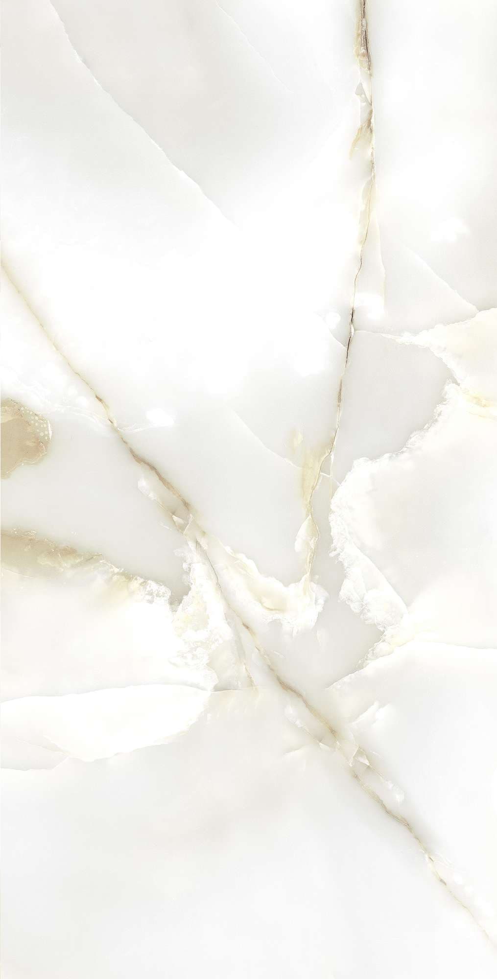 PRIMO ONYX — фото 8