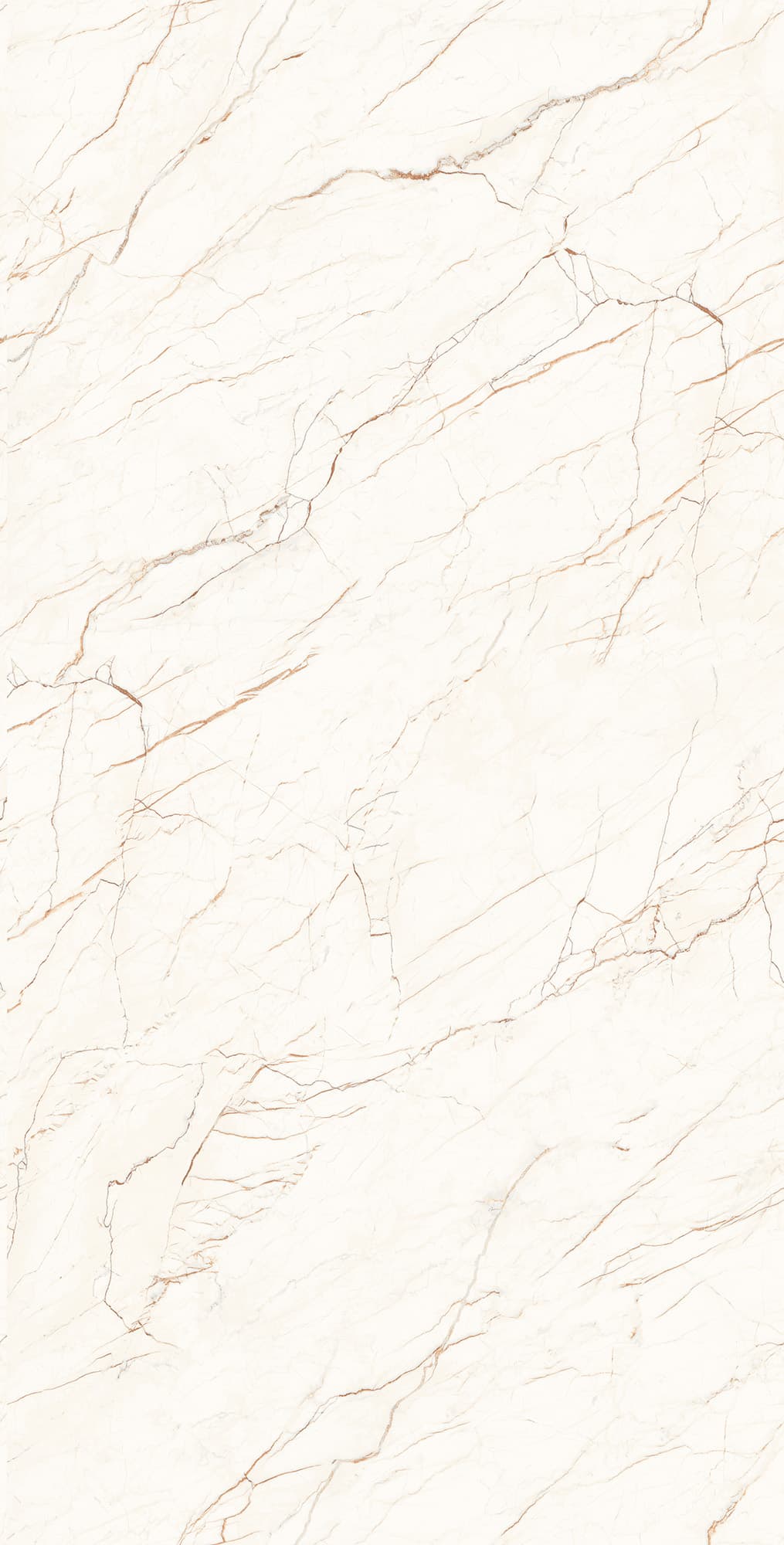 CEASAR — фото 7