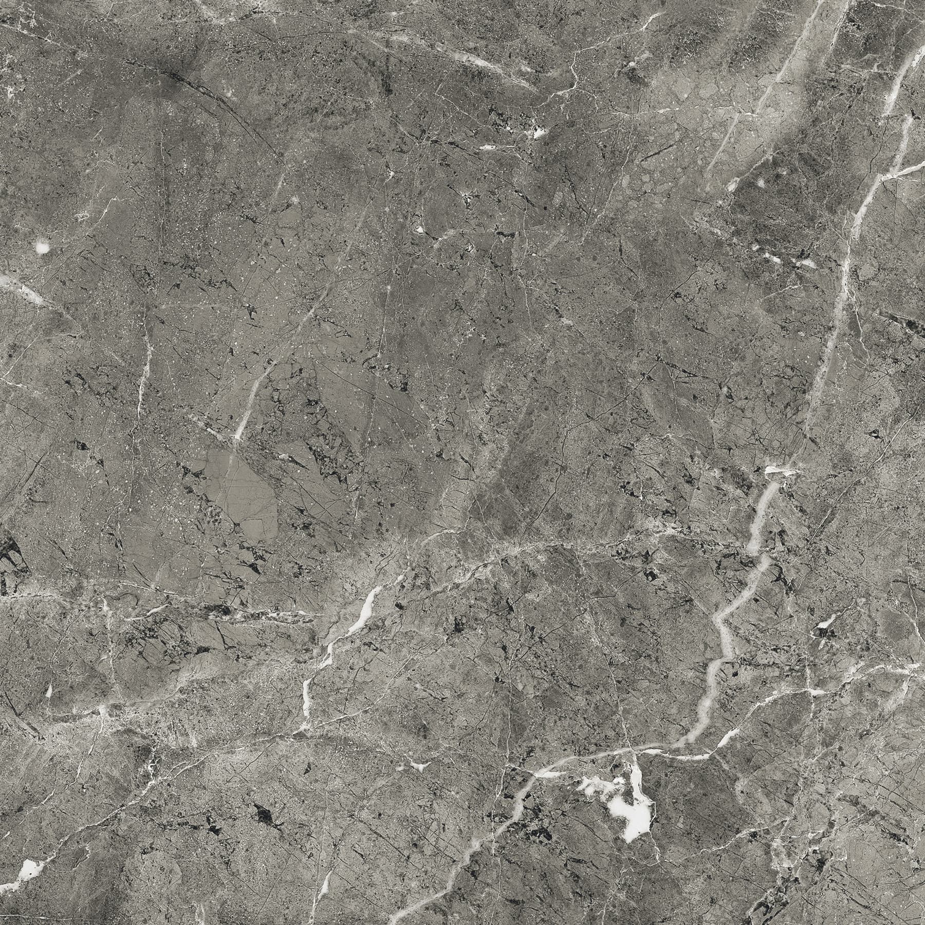 FLORENCIA GREY — фото 8