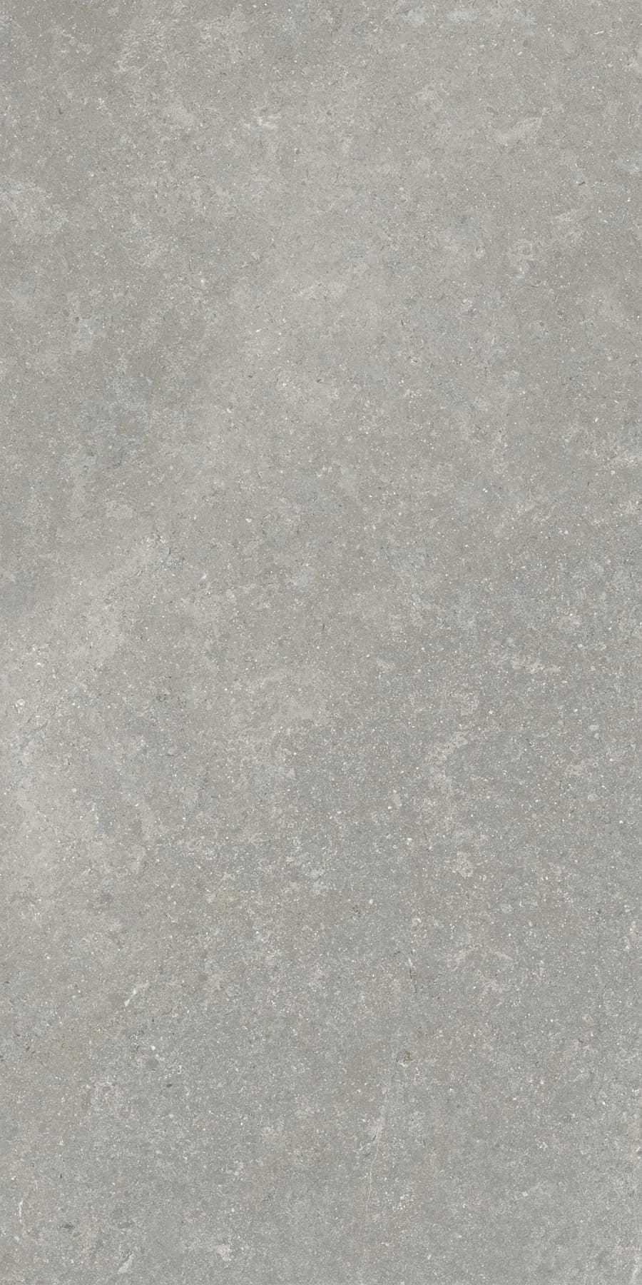 Керамогранит K948634R0001VTER SandStone Серый Матовый R10A Ректификат 60х120 — фото 8