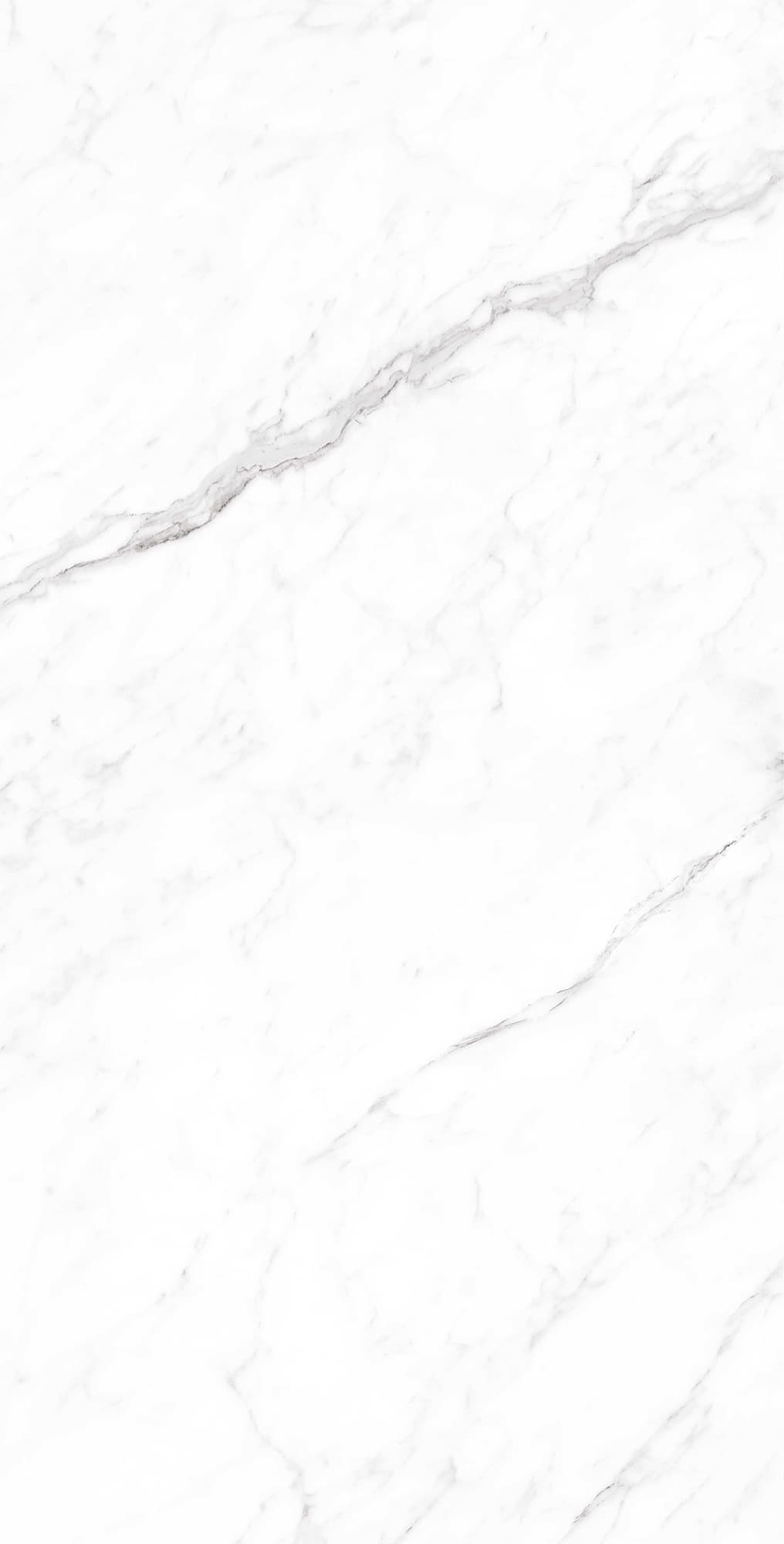 CORALINA WHITE — фото 3