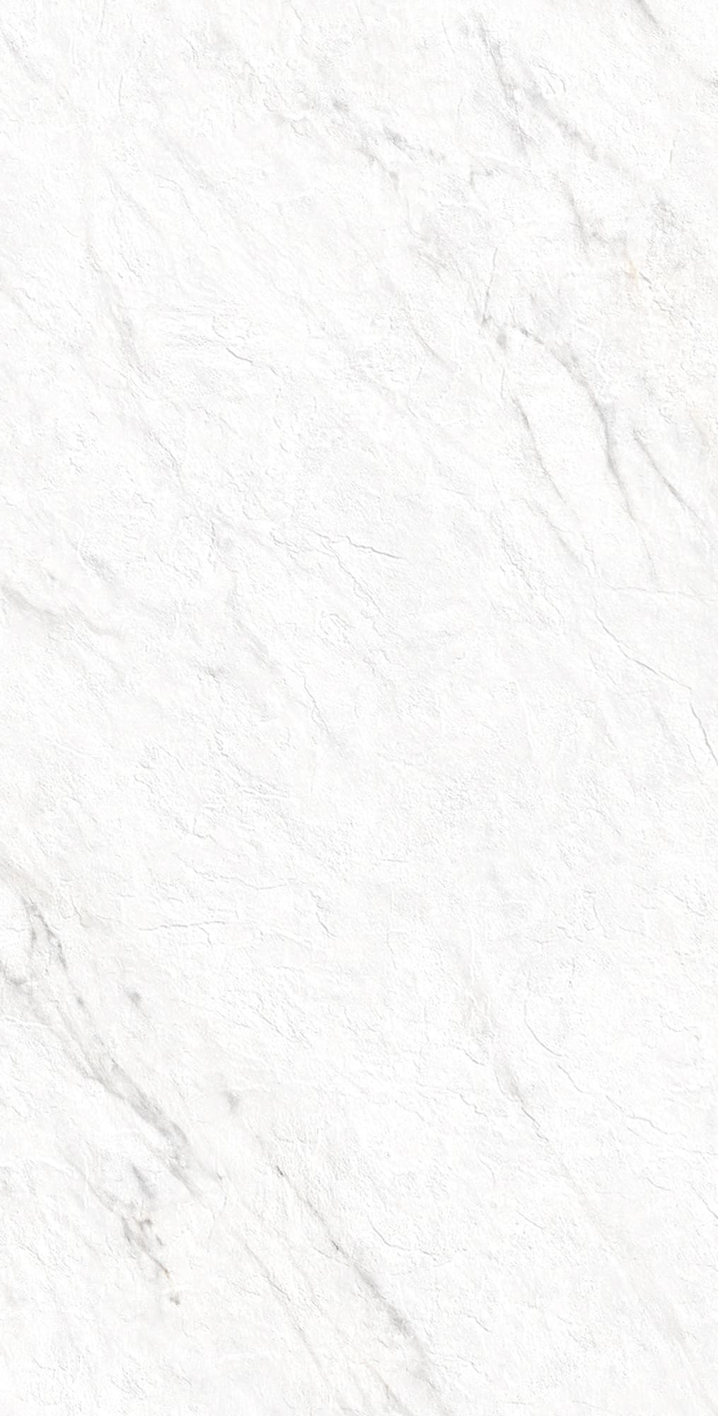 LAZIO BIANCO — фото 8