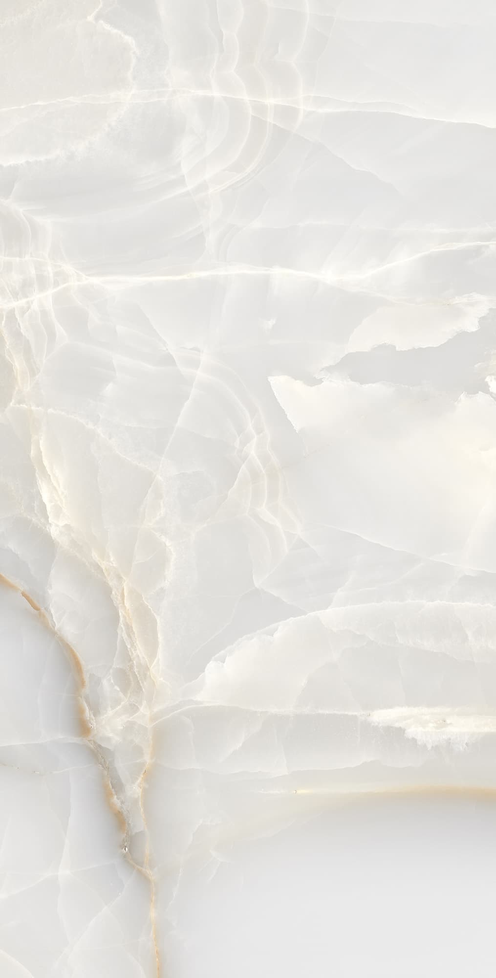 ONYX MAX — фото 5