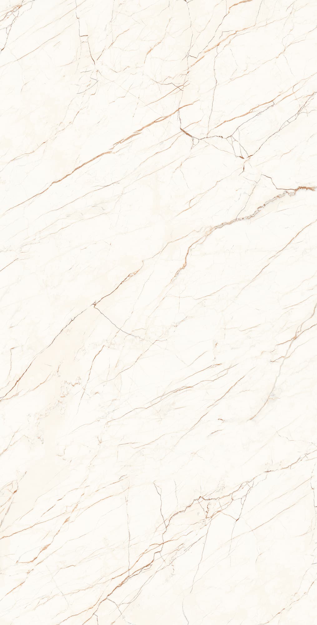 CEASAR LAPPATO — фото 6