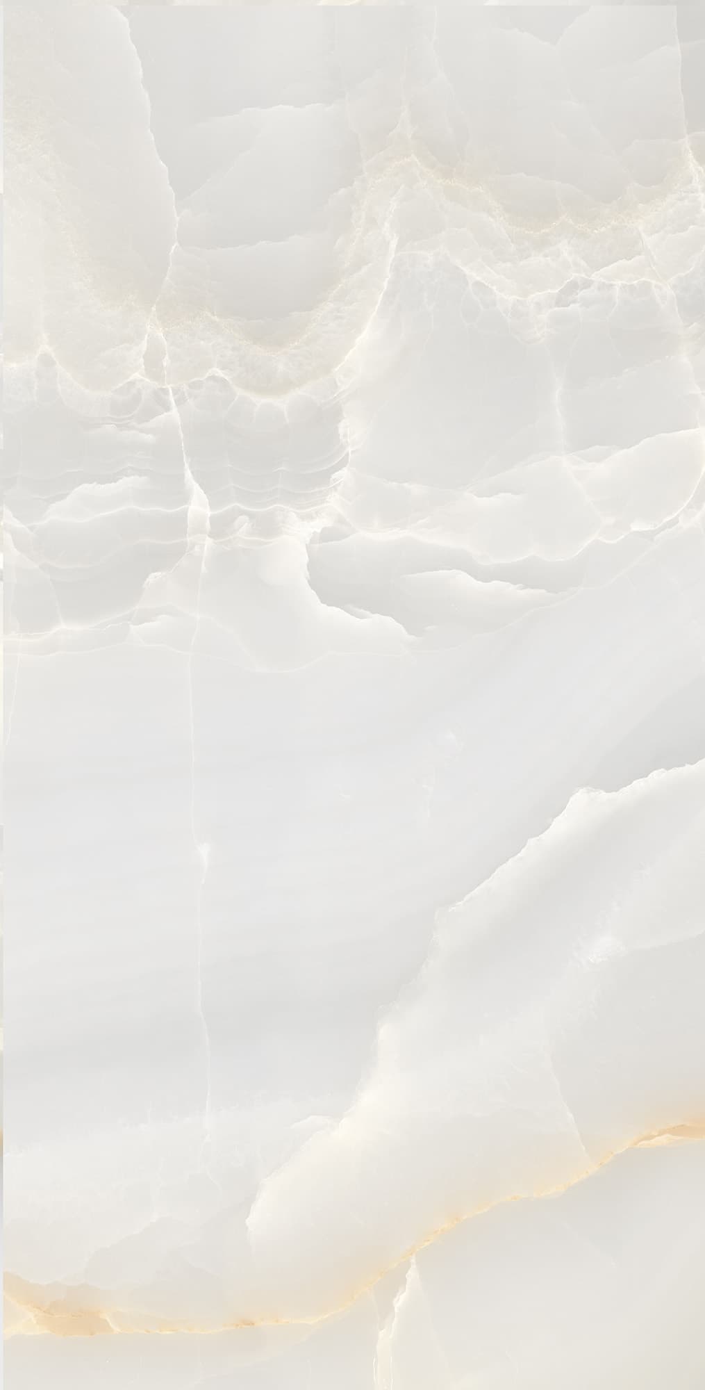 ONYX MAX — фото 6