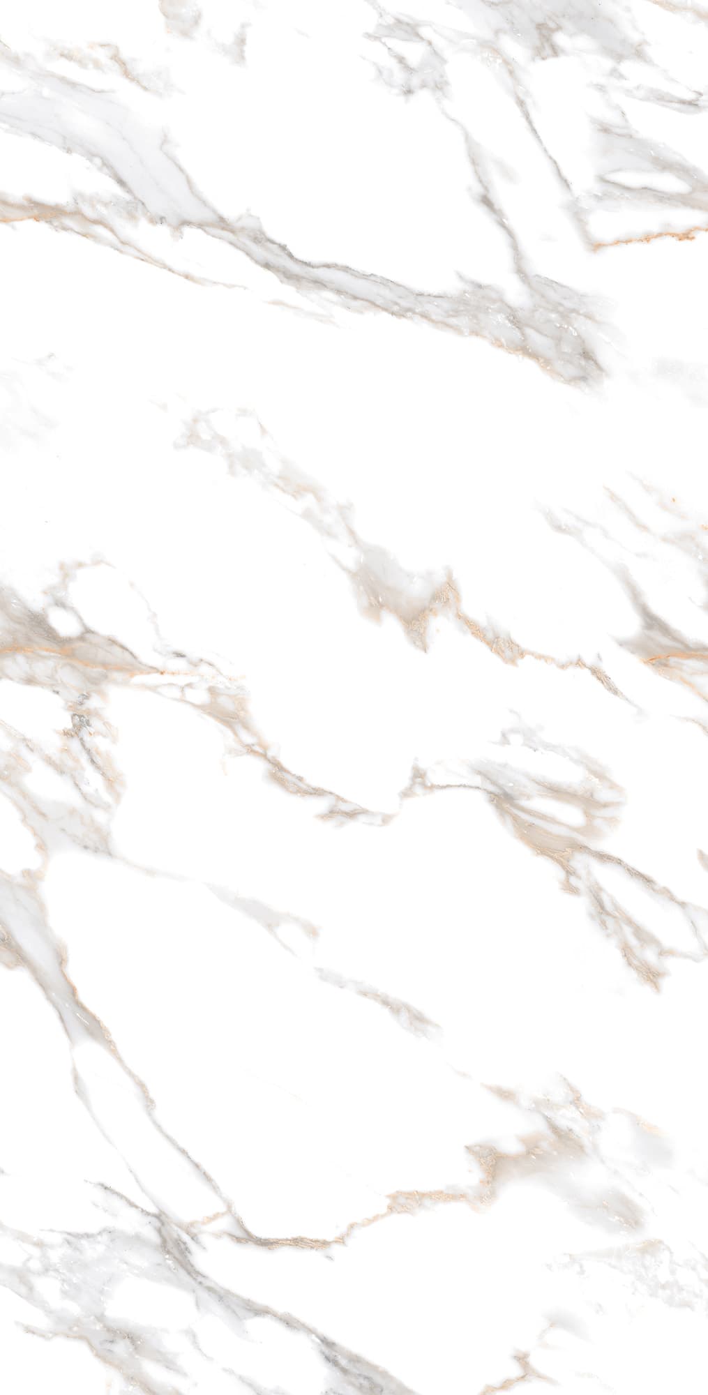 CALACATTA GOLD — фото 4